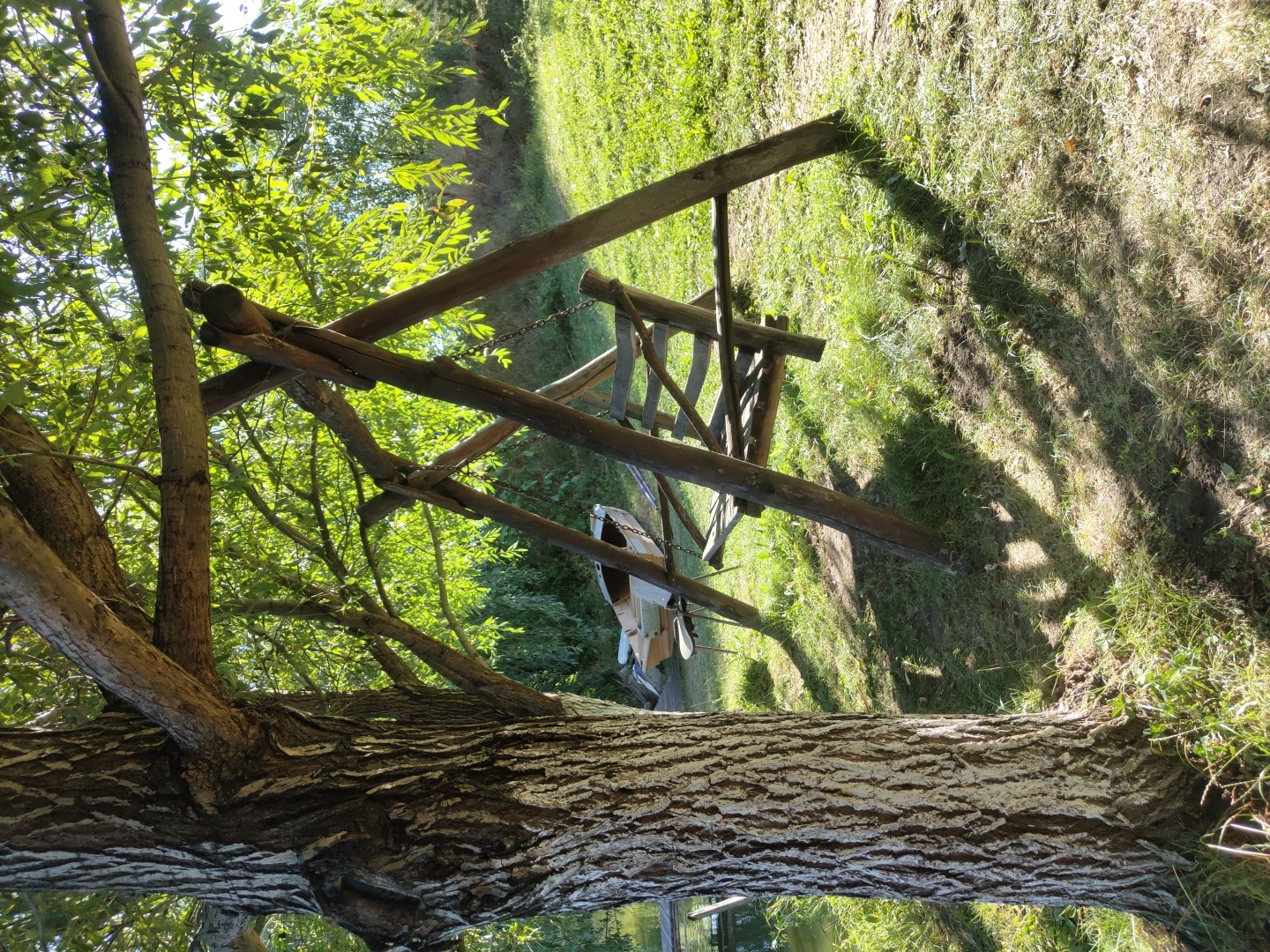 This is an outdoor, eye-level, vertical photograph of a wooden swing set next to a large tree. The swing set is constructed of rough-hewn logs and has a wooden plank seat suspended by chains. In the background, a small wooden boat is visible on the water, which is to the left of the frame. The scene is bathed in sunlight, casting dappled shadows from the tree and swing set onto the grassy ground. The foliage of the tree is lush and green, with leaves filtering the sunlight. The environment appears to be a natural setting, possibly a park or a backyard near a body of water. No people are present in the image. The location is identified as Speia, Moldova.