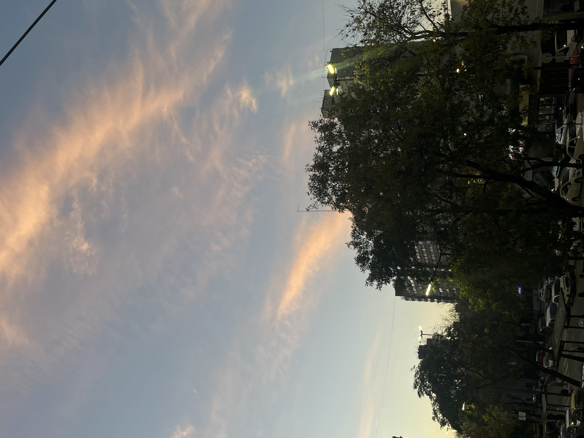 The image captures an urban street scene during twilight or sunset, characterized by a serene sky and illuminated urban elements. The sky transitions from a soft blue at the top to warmer hues of pink and orange, with elongated, wispy clouds reflecting the evening light. A dark power line runs diagonally across the upper left.
On the right side of the frame, multiple multi-story buildings rise, their facades appearing dark against the sky, partially obscured by a line of trees with dense, dark green foliage, though some trees also show bare branches. Several streetlights are active, casting bright beams of light upwards and outwards, suggesting the onset of evening. Below the trees and buildings, a street is visible, lined with numerous parked cars, indicating a populated urban or suburban environment. The scene is static, with no discernible human activity. The overall atmosphere is tranquil as the day ends in what is contextualized as Buenos Aires, Argentina. No visible text is present in the image.