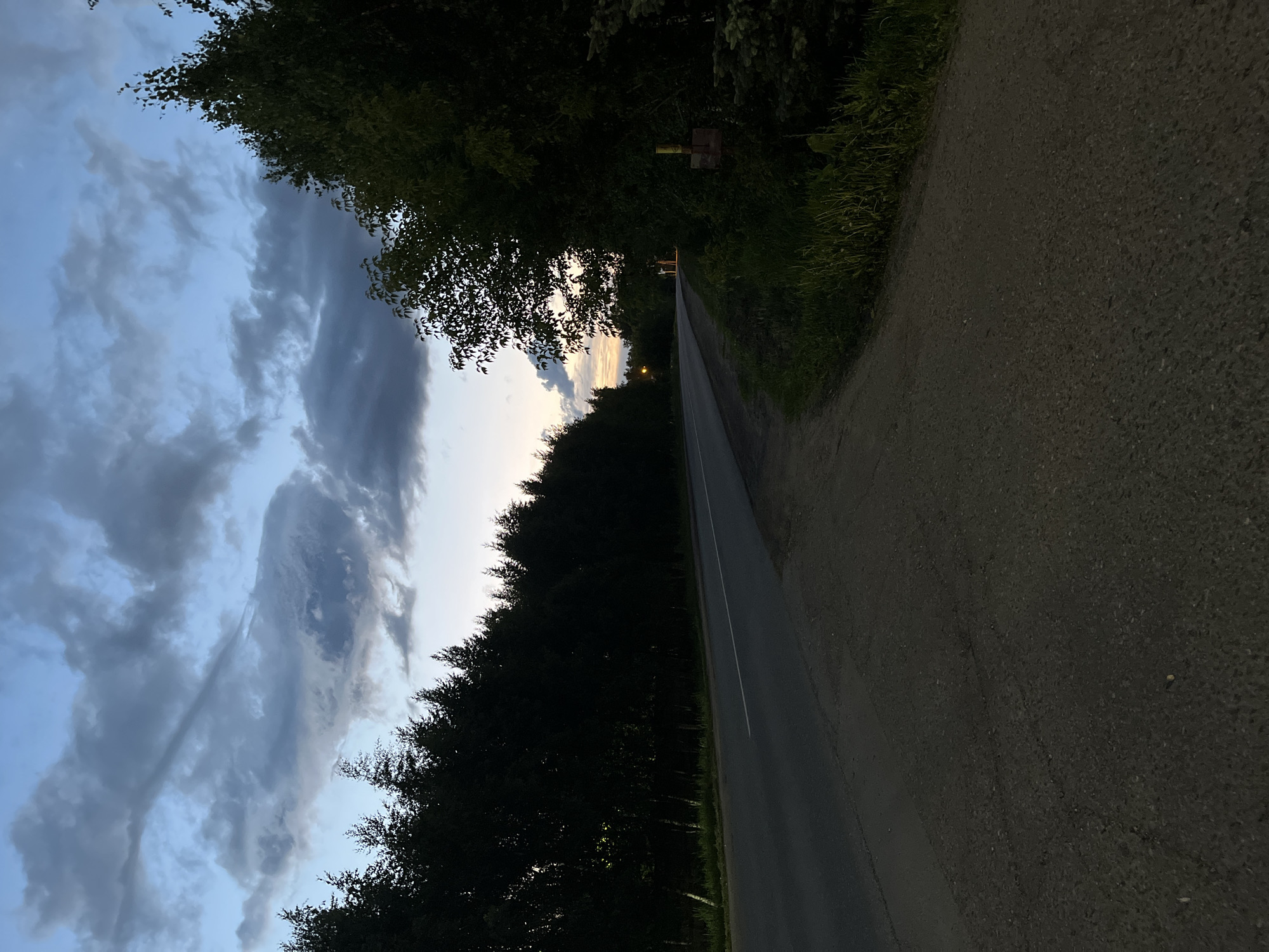 The image captures a rural or semi-rural road at twilight, stretching into the distance and flanked by dense forest. The sky, occupying the upper left portion of the frame, features a dramatic expanse of clouds, ranging from light grey to darker, more ominous tones. Towards the distant horizon, a pale, yellowish-white glow suggests either sunrise or sunset.
The paved road occupies the central and lower right section of the image, appearing dark with a subtle white line marking its edge or a lane. Alongside the paved road, a wider, unpaved shoulder or path made of dirt and gravel is visible, bordered by green grass and other low-lying vegetation. The trees lining both sides of the road are primarily silhouetted against the dim light, appearing as dark, dense masses of foliage that form a tunnel-like effect as the road recedes.
A single, faint artificial light source is discernible far down the road, suggesting a street light or a distant building. Among the trees on the left side, a small, light-colored object, possibly a sign or marker, with a yellowish-brown hue, is faintly visible.
The scene conveys a quiet and serene mood, characteristic of a natural setting during the transitional hours of dawn or dusk. There are no people or discernible activities taking place. No text is visible in the image. The location context provided is Ореховка, Russia.