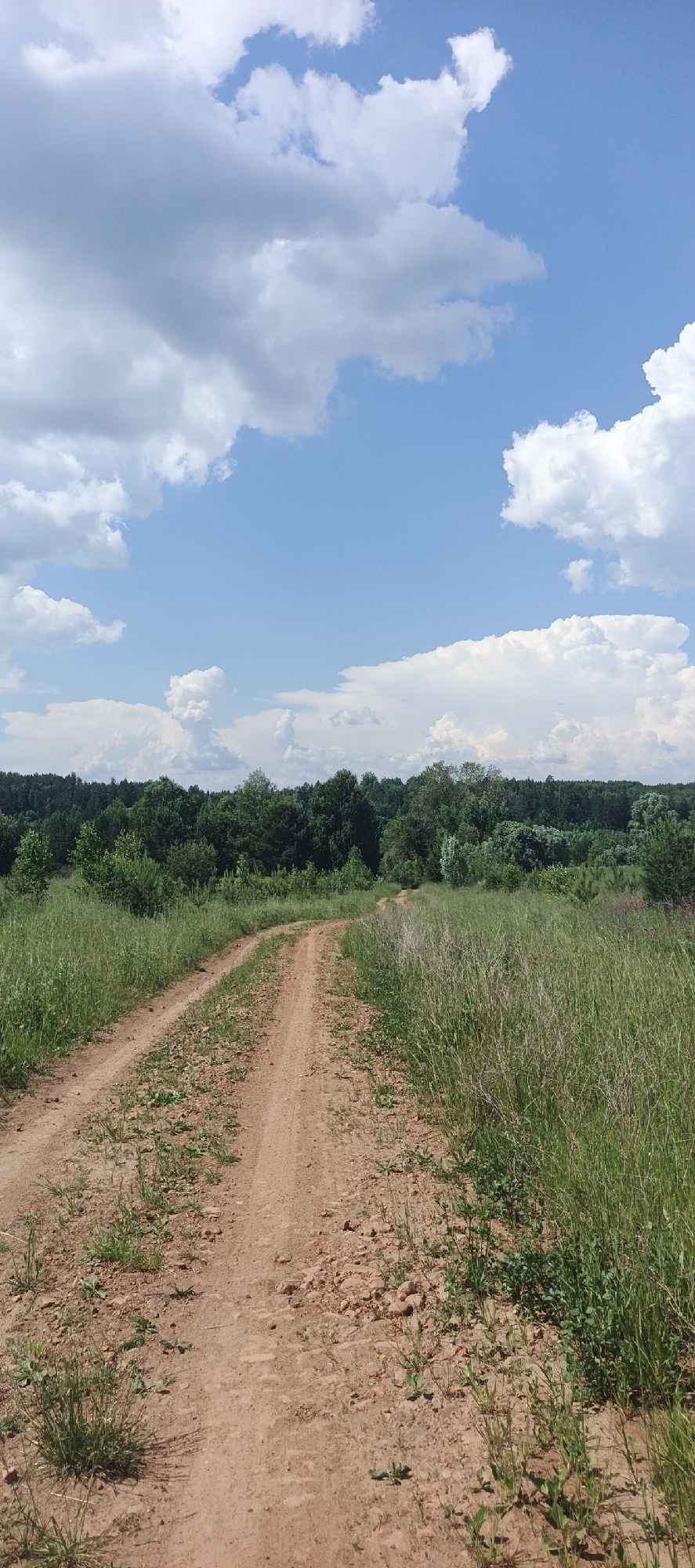 The image depicts a dirt road curving through a grassy field under a blue sky with scattered white clouds. The road is in the foreground, and it leads towards a dense line of green trees in the middle ground, which marks the edge of a forest. The grass on either side of the road is tall and appears slightly dry in places, with some wildflowers visible. The sky is bright and sunny, suggesting a clear day. The scene appears to be a rural landscape, possibly in the vicinity of Bol'shoi Bukor, Russia, given the presence of a dirt road and forest common to such areas. There are no people or animals visible in the image.