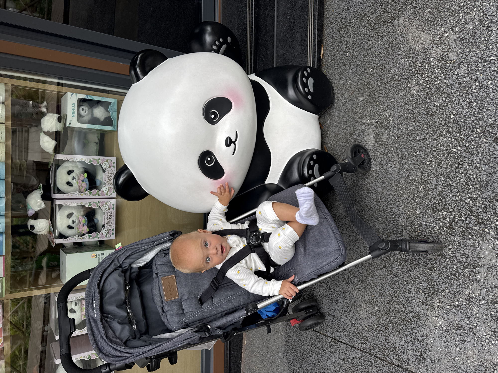 In Chenghua District, China, a baby sits in a gray stroller next to a large, white panda statue. The baby is wearing a white outfit with yellow bee print and white socks, and has blue eyes. The panda statue is cartoon-like, with black ears, eye patches, and paws, and pink cheeks. In the background, a storefront window displays various panda-themed merchandise, including stuffed animals and boxes. The scene is outdoors, on a paved surface that appears to be asphalt or gravel.