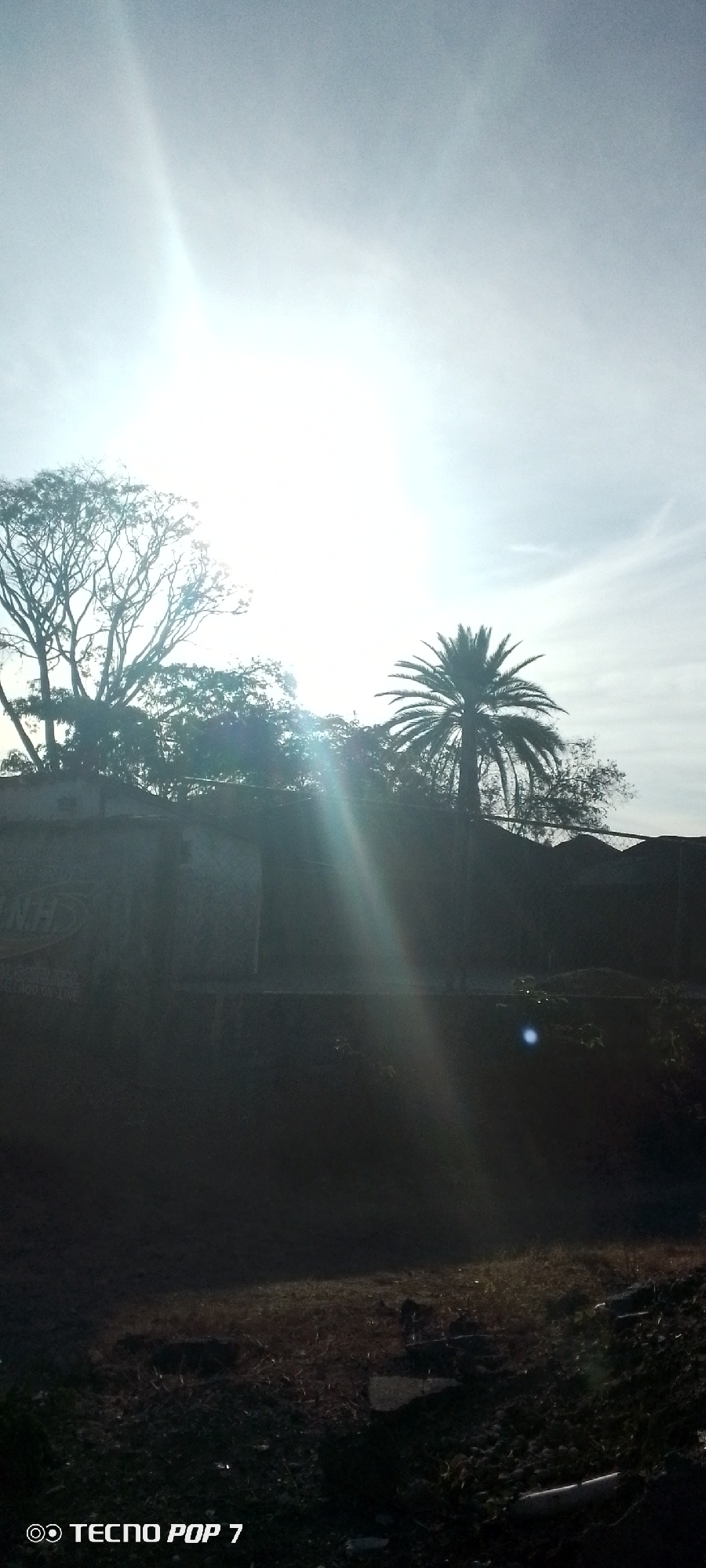 The image presents a low-angle view of a landscape with the sun positioned high in the sky, causing significant glare and obscuring details. There are trees, including a palm tree, visible against the bright sky. Below the trees is a structure, potentially a building or wall, in shadow. The foreground shows a dark, grassy area with some discernible objects. The text "TECNO POP 7" is at the lower-left corner, suggesting the picture was taken with such a device. The image is underexposed, making it difficult to identify specific objects or the location. Given the prompt's information, the location is within the city of Altagracia, Venezuela.