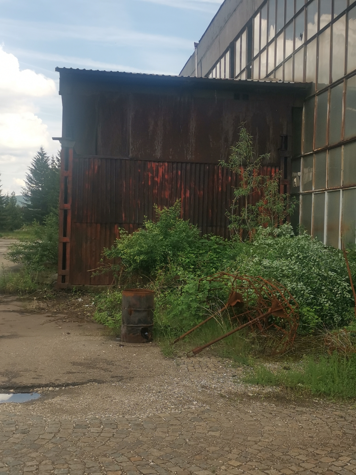 The image captures an abandoned or disused industrial site, located in Zhivkovo, Bulgaria, where nature is reclaiming man-made structures.
The primary subject is a large industrial building, characterized by a heavily rusted, corrugated metal facade that exhibits shades of dark brown and reddish-orange. Adjoining this section is another part of the building featuring numerous tall, grimy windows with metal frames, reflecting a cloudy sky. The roofline is simple, with a corrugated covering.
In the foreground and midground, dense, overgrown green bushes, small trees, and tall grass extensively cover the area, indicative of prolonged neglect. Several conifer trees are visible in the distant background, suggesting a peripheral or rural setting. The ground comprises a rough, uneven dirt path mixed with gravel, leading towards the building, alongside patches of concrete and a section of old, worn cobblestone pavement in the lower left. A small puddle reflects the sky.
Among the overgrown vegetation, a rusty, dark metal barrel stands near the path. Further into the bushes, a tangled mass of heavily rusted metal debris, possibly remnants of machinery or fencing, is visible.
There is no discernible human activity or event taking place. The scene conveys a strong sense of abandonment, decay, and the gradual process of nature encroaching upon a former industrial landscape. The time of day appears to be daytime, likely late morning or early afternoon, under a partly cloudy sky. No visible text is present in the image.