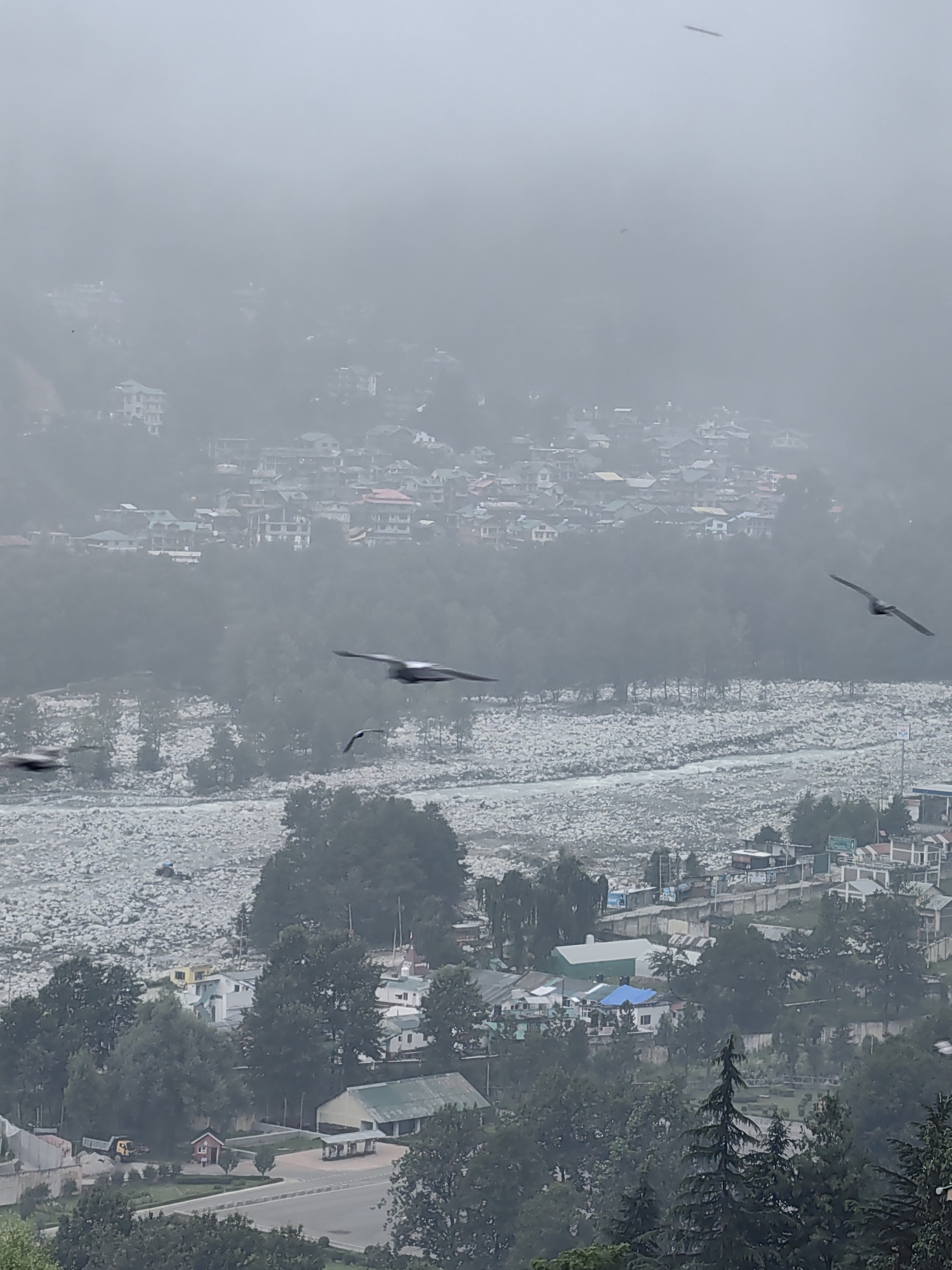 The image depicts a misty, overcast view of a town nestled in a valley, likely Vashisht, India, given the context provided. In the foreground, dense evergreen trees frame the scene. The midground features a town with numerous buildings, many having green or red roofs, situated on a hillside. A wide, rocky riverbed runs horizontally across the image, with a visible stream of water. Several birds are in flight, with one prominent bird with outstretched wings in the right mid-foreground. In the far distance, more buildings are visible on a misty, sloping hillside. The overall atmosphere is hazy and subdued due to the atmospheric conditions.