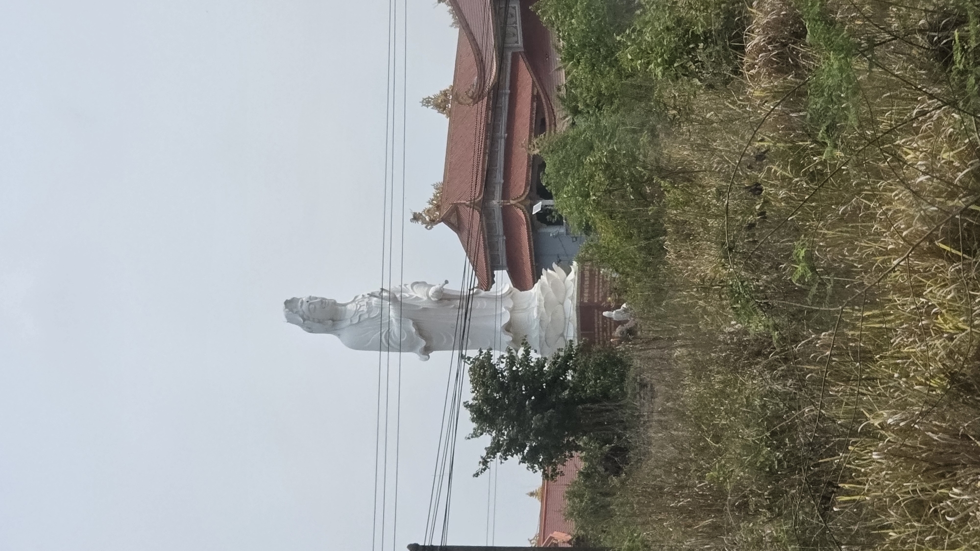 A medium shot of a statue of a white goddess figure standing in front of a red roofed structure. The scene appears to be in the city of Đăk La, Vietnam. Power lines crisscross above, and the statue stands on a white pedestal. Vegetation surrounds the statue and the building, creating a border around them. The sky is gray and overcast.