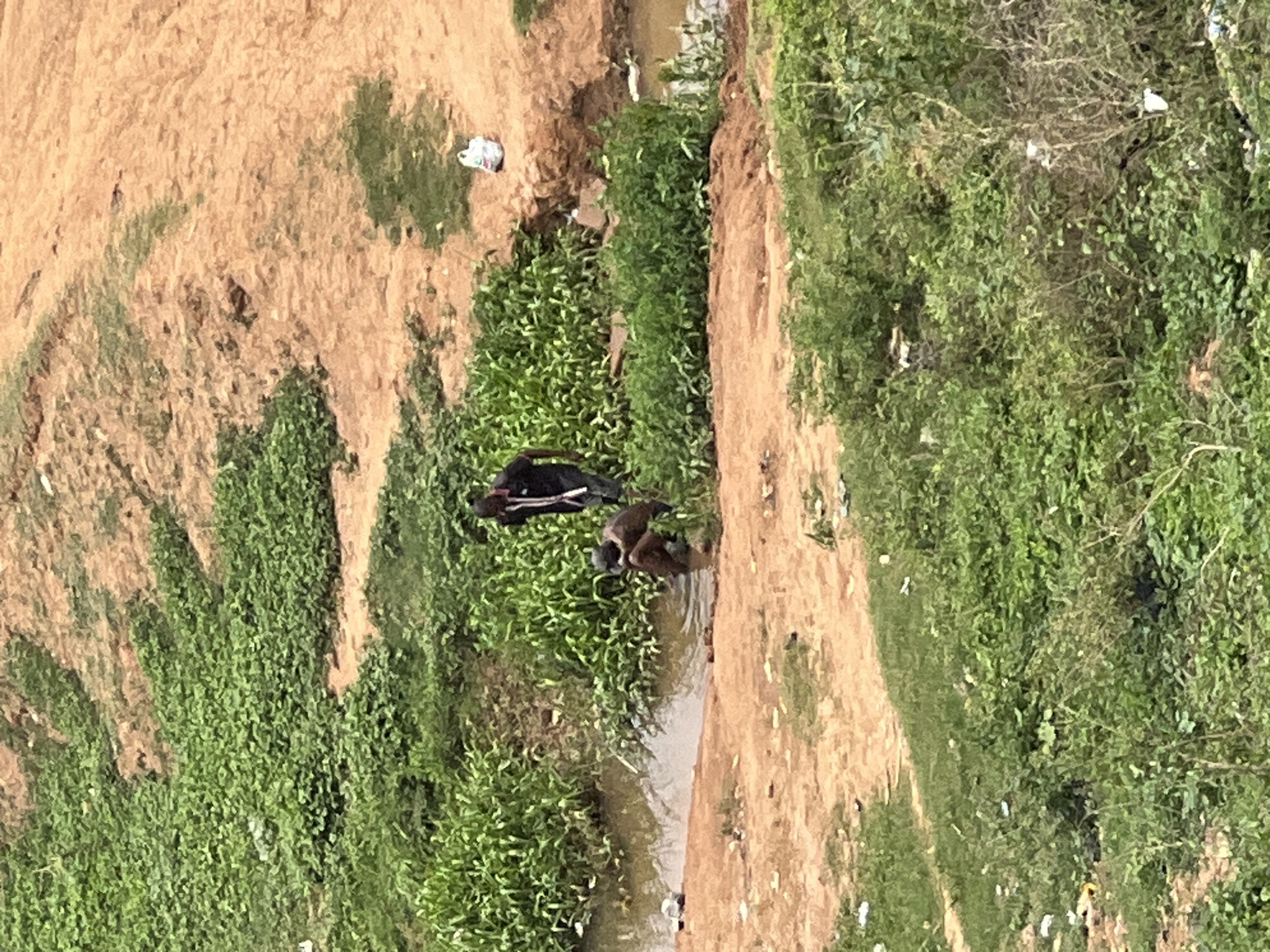 The image depicts a waterway in what appears to be a natural drainage area in Abuja, Nigeria. Two individuals are present near the water's edge; one wears a black shirt and black trousers, while the second bends over near the water. The surrounding landscape is characterized by exposed soil and dense green vegetation, and trash is scattered throughout the area.