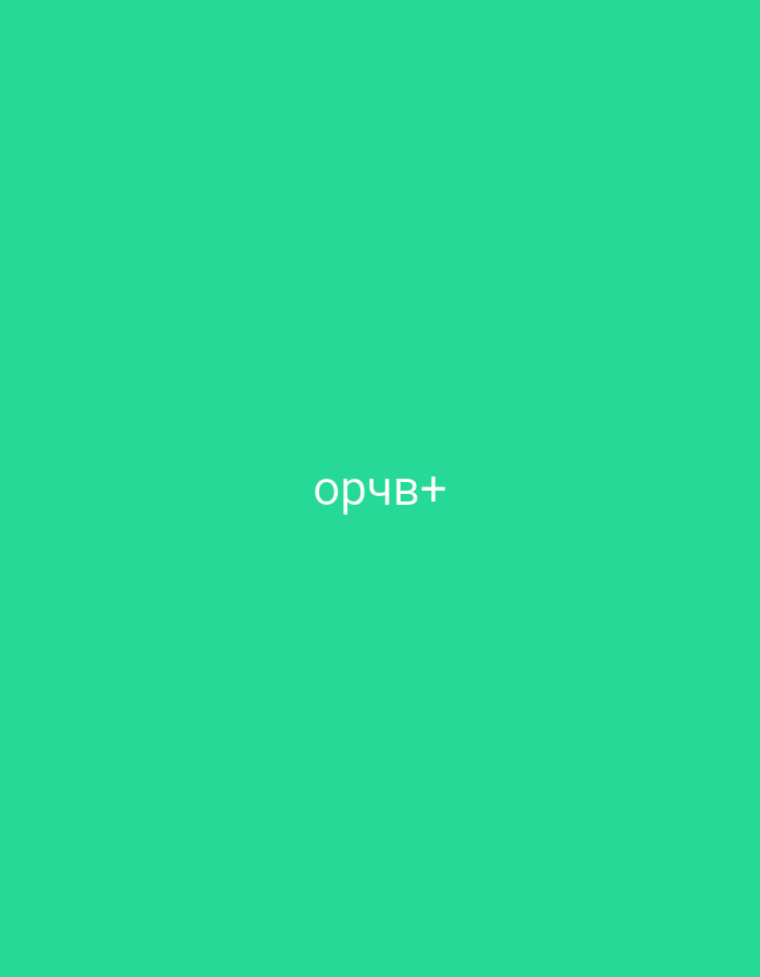 The image displays a minimalist composition featuring white text centered against a solid, vibrant turquoise-green background. The visible text reads "орчв+", consisting of four Cyrillic letters followed by a plus sign. The letters are "o" (о), "r" (р), "ch" (ч), and "v" (в). There are no other subjects, objects, people, or discernible activities present. The background is uniformly colored with no textures or patterns. No specific location cues, time of day, or weather conditions can be inferred from the image itself. The overall aesthetic is clean and focused solely on the textual element. Given the location context of Yerevan, Armenia, the Cyrillic script might suggest a connection to the Russian language, which is commonly understood or spoken by some residents.