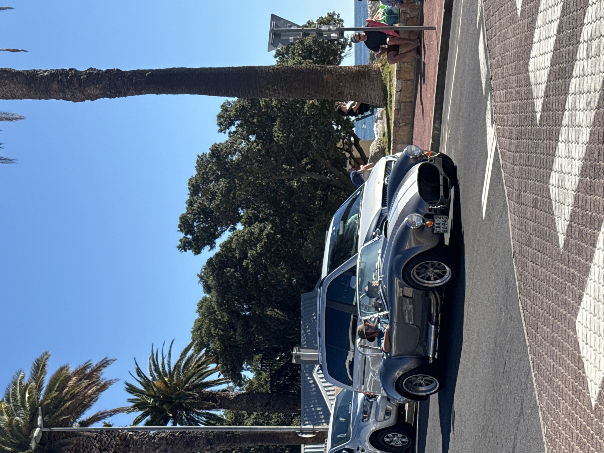 The image shows a street scene in Cape Town, South Africa. There are several classic cars parked on the side of the road. People are seated on a low wall overlooking the ocean. A large palm tree is visible on the left side of the image. The sky is clear and blue. The cars include at least one classic Cobra model with a white racing stripe. The road is marked with a distinctive zebra-stripe pattern.