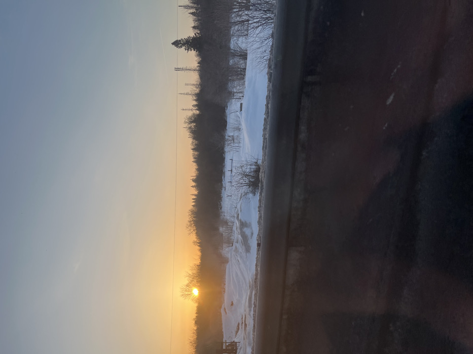 The image depicts a snow-covered rural landscape in Selychka, Russia, at either sunrise or sunset. The lower approximately one-third of the frame is dominated by a dark, blurred horizontal element, consistent with a vehicle's interior or a guardrail, indicating the viewpoint. Above this, the midground features undulating terrain covered in white snow, with visible patches of darker ground and numerous leafless deciduous shrubs and small trees. A dirt path or track is discernible through the snow on the left side of the midground. Several indistinct objects or structures are scattered across the snow. The background is composed of a dense forest line, primarily consisting of bare deciduous trees and some evergreen conifers, with the sun low on the left horizon, emitting a bright orange-yellow glow through the trees. Above the main tree line on the right, several tall, thin, possibly dead trees or communication poles are visible against the sky. The sky transitions from a warm orange-yellow near the horizon to a pale blue at the zenith. No individuals or overt actions are present.