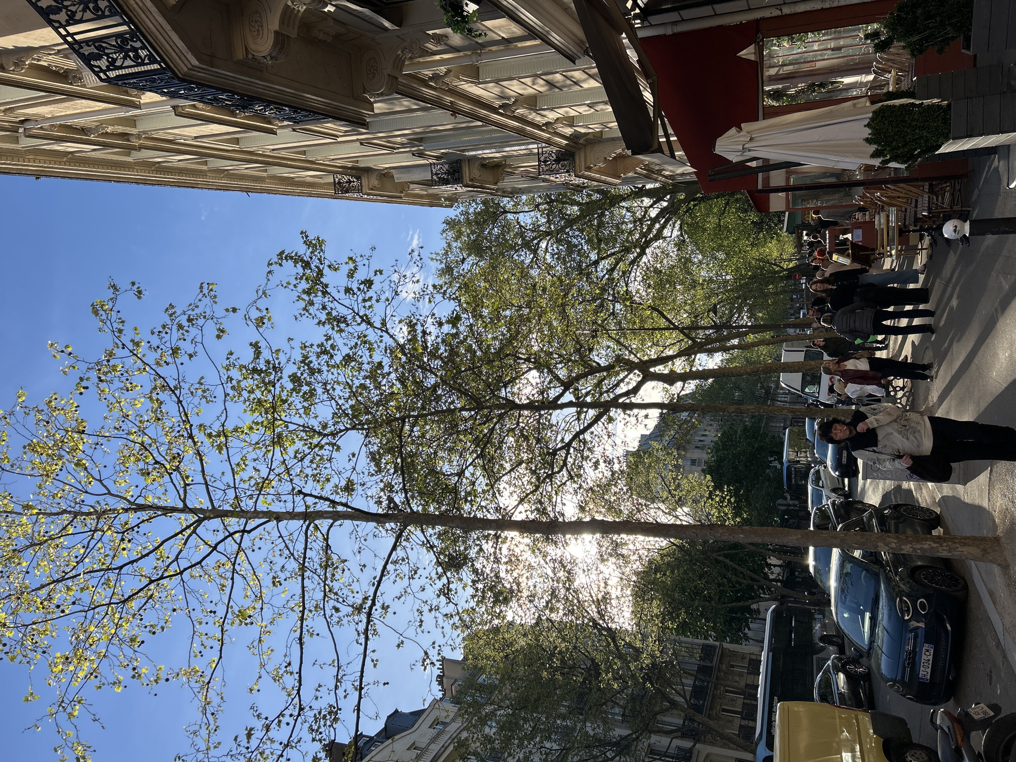 The image depicts a street scene in an urban environment, likely in Europe due to the architectural style. The foreground features a row of parked cars along a sidewalk. People are walking along the sidewalk past a cafe or restaurant with outdoor seating. Above the sidewalk, trees line the street, their branches and leaves partially obscuring the view of the buildings behind them. The buildings exhibit classic architectural details, including decorative moldings, ironwork balconies, and multi-story facades. The sky is blue and clear. The sun is shining and creates a glare through the trees.