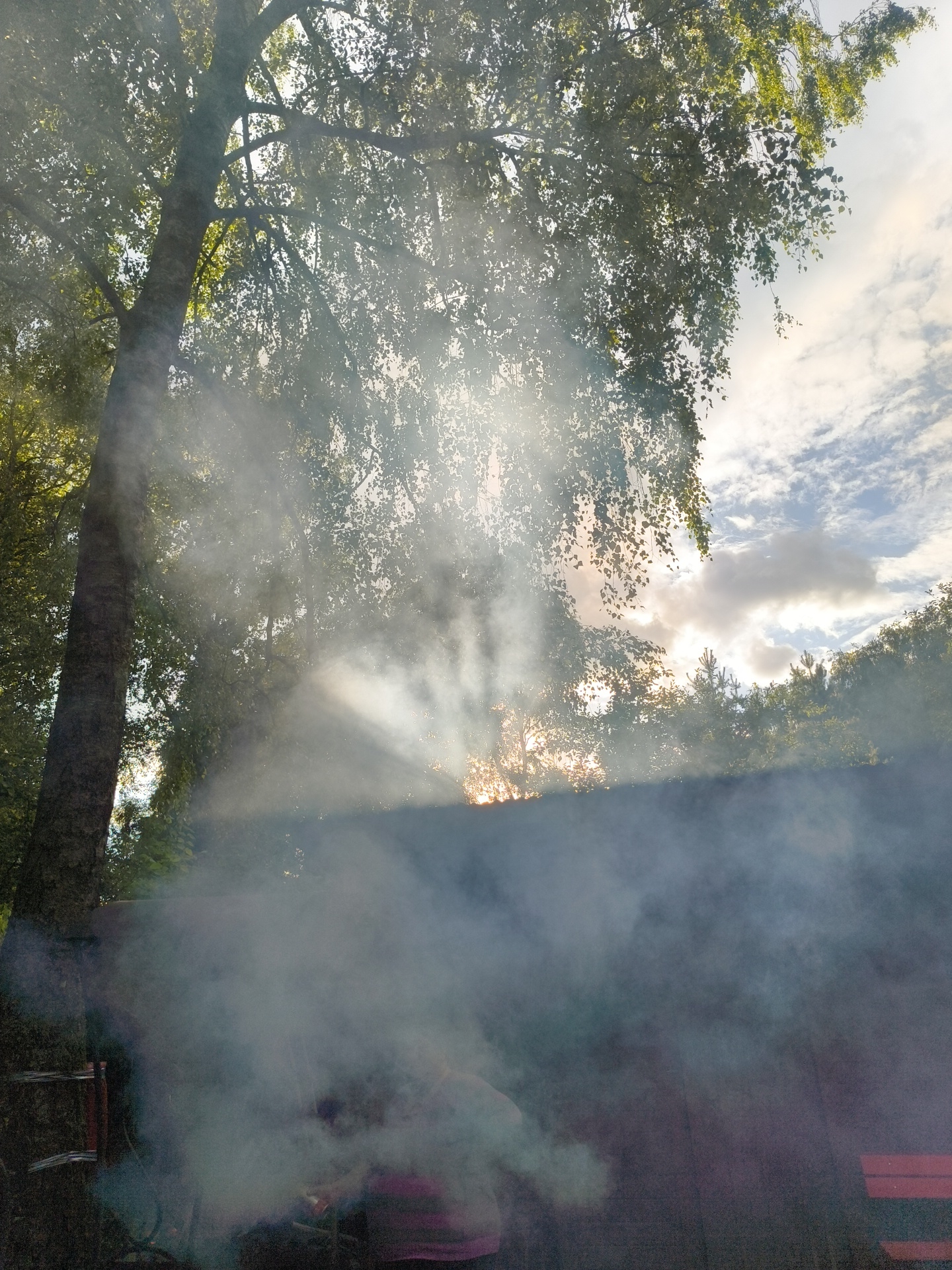 The image depicts a scene outdoors, possibly in the city of Pravdist-1 SNT, Russia. A large tree dominates the left side of the frame, its branches spread wide with green foliage. Sunlight streams through the leaves and a thick plume of white smoke, creating visible light rays. The smoke obscures the lower portion of the image, but a dark, possibly wooden, structure is visible behind it, with a red bench on the far right. In the smoke, a person can be partially seen wearing a purple top. The sky above is partly cloudy with a blend of white and grey clouds, and a hint of sunset or sunrise orange peeking through the trees. The overall impression is one of an outdoor gathering or activity, such as a barbecue, occurring during a time of bright sunlight and smoky conditions.