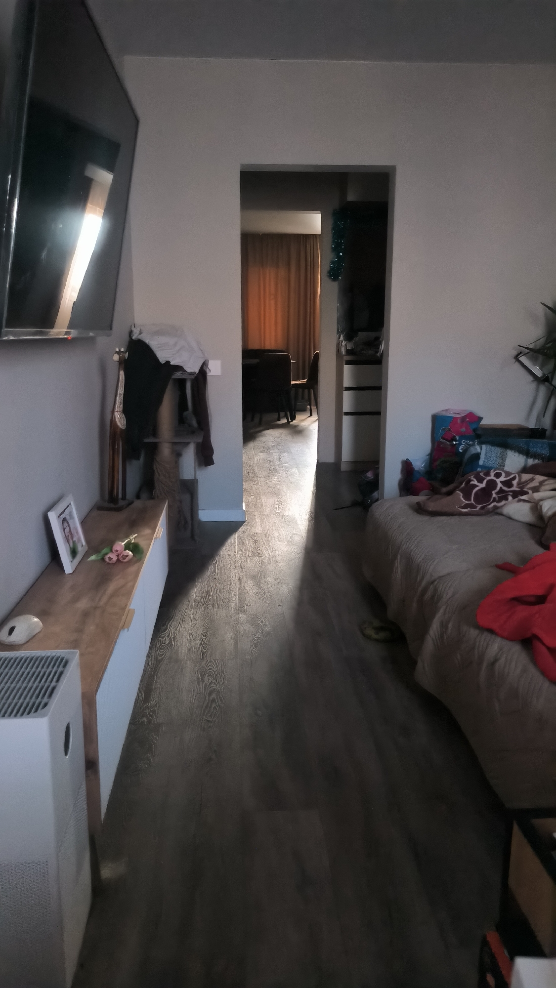The image depicts an interior scene, likely a hallway or living area, with a light shaft cutting across the dark wooden floor. To the left, a large television is mounted on a light-colored wall. Below it is a wooden cabinet with white drawers, featuring a framed photo and a small bouquet of pink flowers. An air purifier stands on the floor to the left. A cat tree with clothes draped over it is visible behind the cabinet. The hallway leads to another room where dining chairs and a table are partially visible. To the right, a bed or sofa is covered with blankets and pillows, with a red garment draped over it. Various items are piled on shelves in the background. The overall impression is of a lived-in, somewhat cluttered domestic space. There is no information available about the location being in Kovrov, Russia.