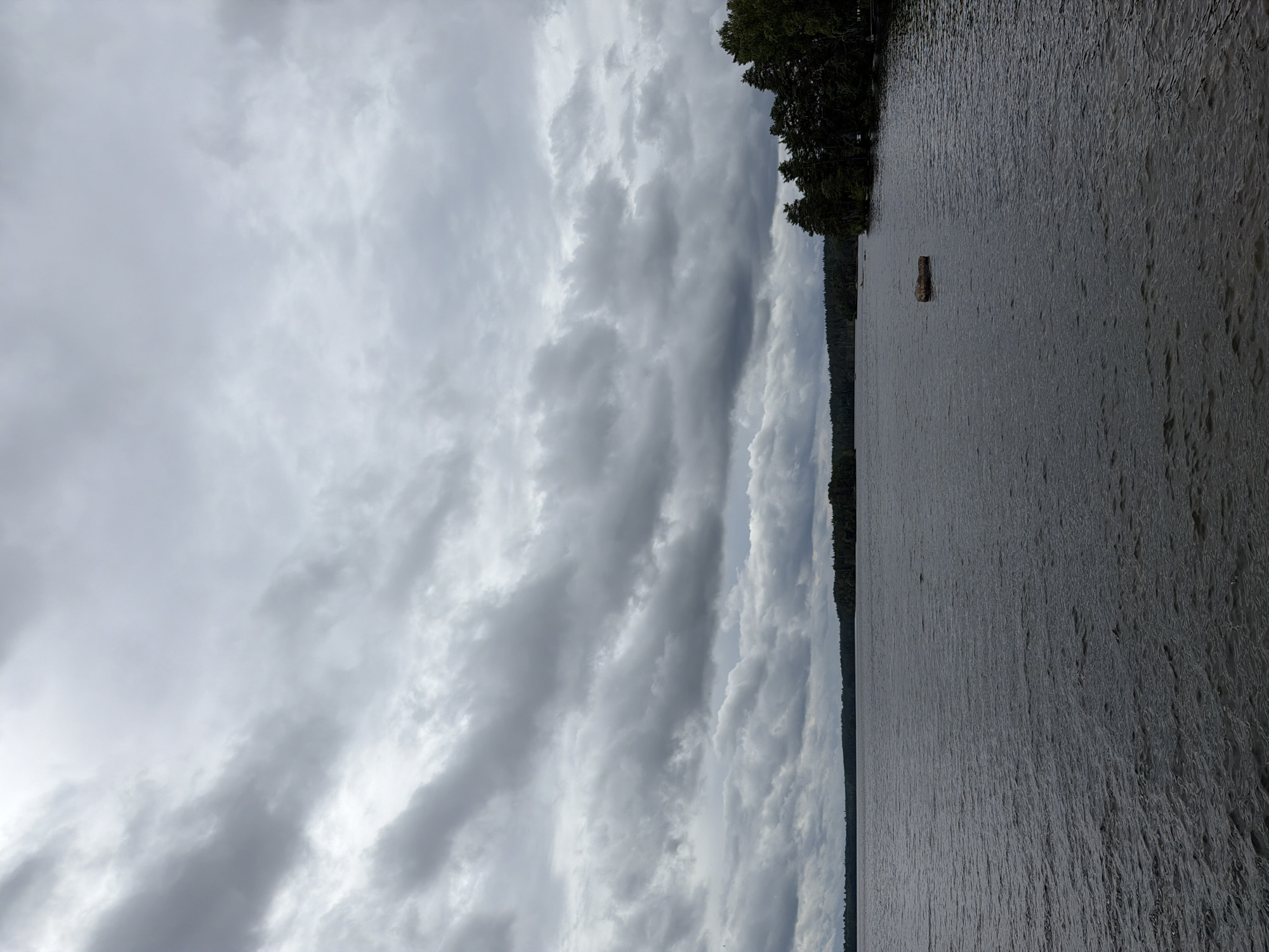 The image depicts a view of a large body of water, likely a lake, under a heavily overcast sky. Dark, textured clouds fill the upper portion of the frame. The water surface is rippled, indicating a slight breeze. In the middle ground, a single, dark-colored log or piece of debris floats on the water. In the distance, a dense line of dark green trees forms a treeline along the far shore. The right side of the image shows a closer view of the treeline, with taller trees more prominently featured. The overall atmosphere is somber and overcast. This scene is consistent with the natural landscape surrounding Aneby, Sweden, characterized by numerous lakes and extensive forests.