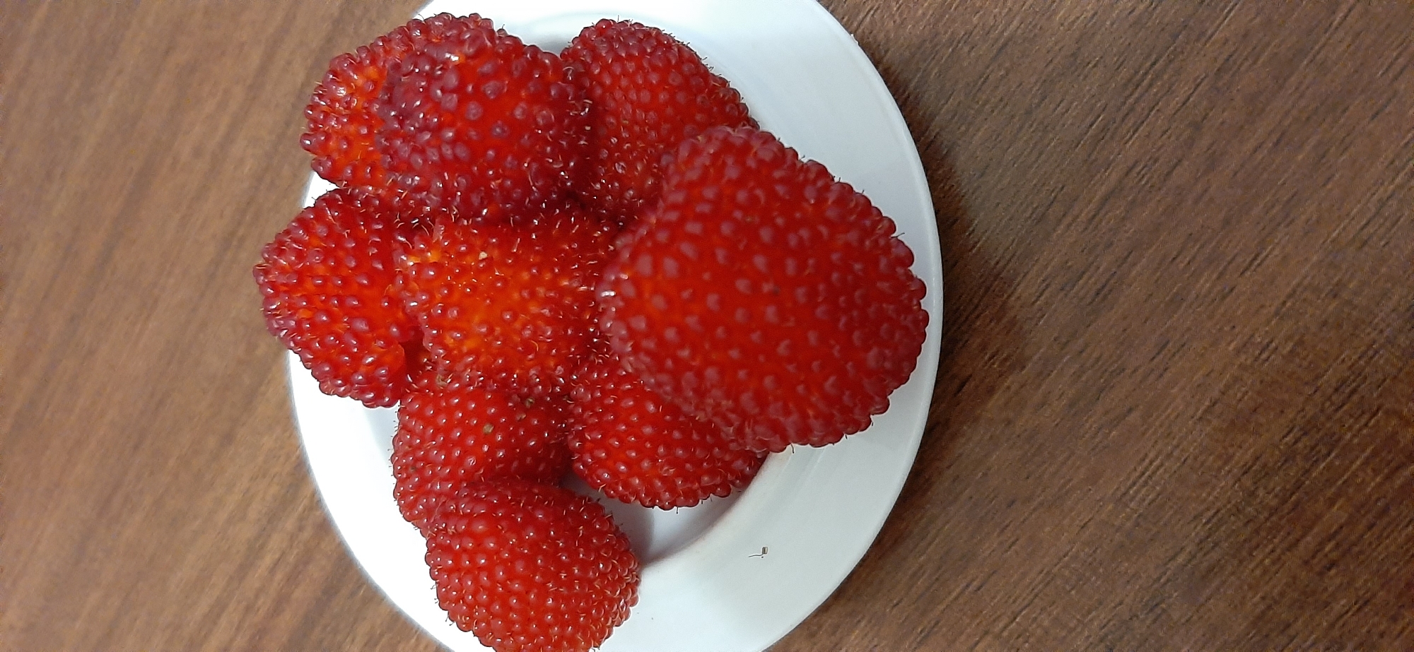 A close-up, slightly overhead shot shows a white, round plate filled with ripe, red, bumpy berries. The berries are clustered together, with some overlapping. The plate is positioned on a dark brown wooden surface with a visible wood grain pattern. The lighting is even, with no harsh shadows. The scene is static, with no action or people present. The location is unknown, as it is not specified in the prompt.
