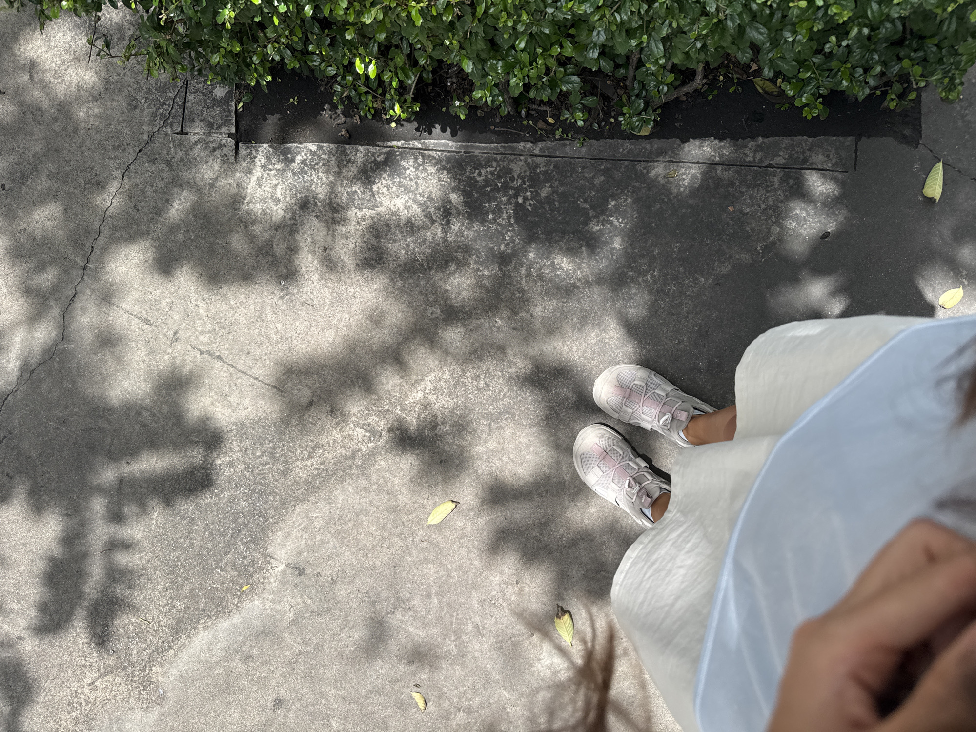 The image depicts a person's legs and feet from a high-angle perspective, standing on a concrete surface. The person is wearing white sneakers with pink accents and a light-colored dress. Scattered leaves are visible on the ground. The concrete path is partially shaded by dappled sunlight, suggesting an outdoor environment. To the right, a line of lush green bushes runs along the edge of the concrete. The scene appears to be in an urban area, possibly a park or a pedestrian walkway, consistent with locations found in Bangkok, Thailand, where such paved pathways bordering green spaces are common.