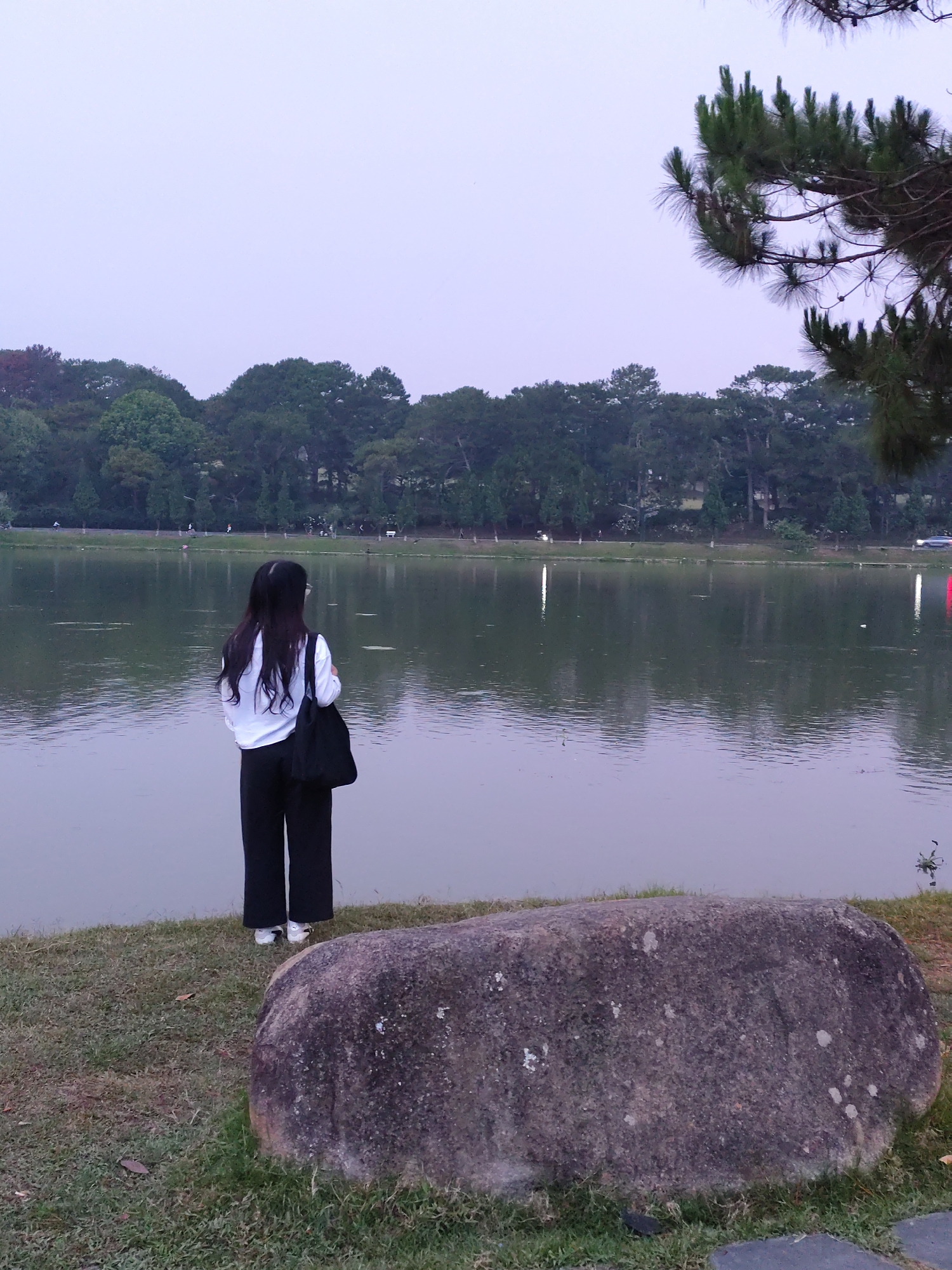 An image depicts a person standing by the edge of a lake, seemingly in Da Lat, Vietnam.
The person, viewed from the back, has long, dark hair and is wearing a white shirt, dark pants, and white shoes. A black bag hangs over their shoulder. They stand on a grassy patch next to a large rock.
In the background is a calm body of water, likely a lake, with a line of trees along the far shore. The sky is overcast.
The scene is quiet, suggesting a serene or contemplative moment.