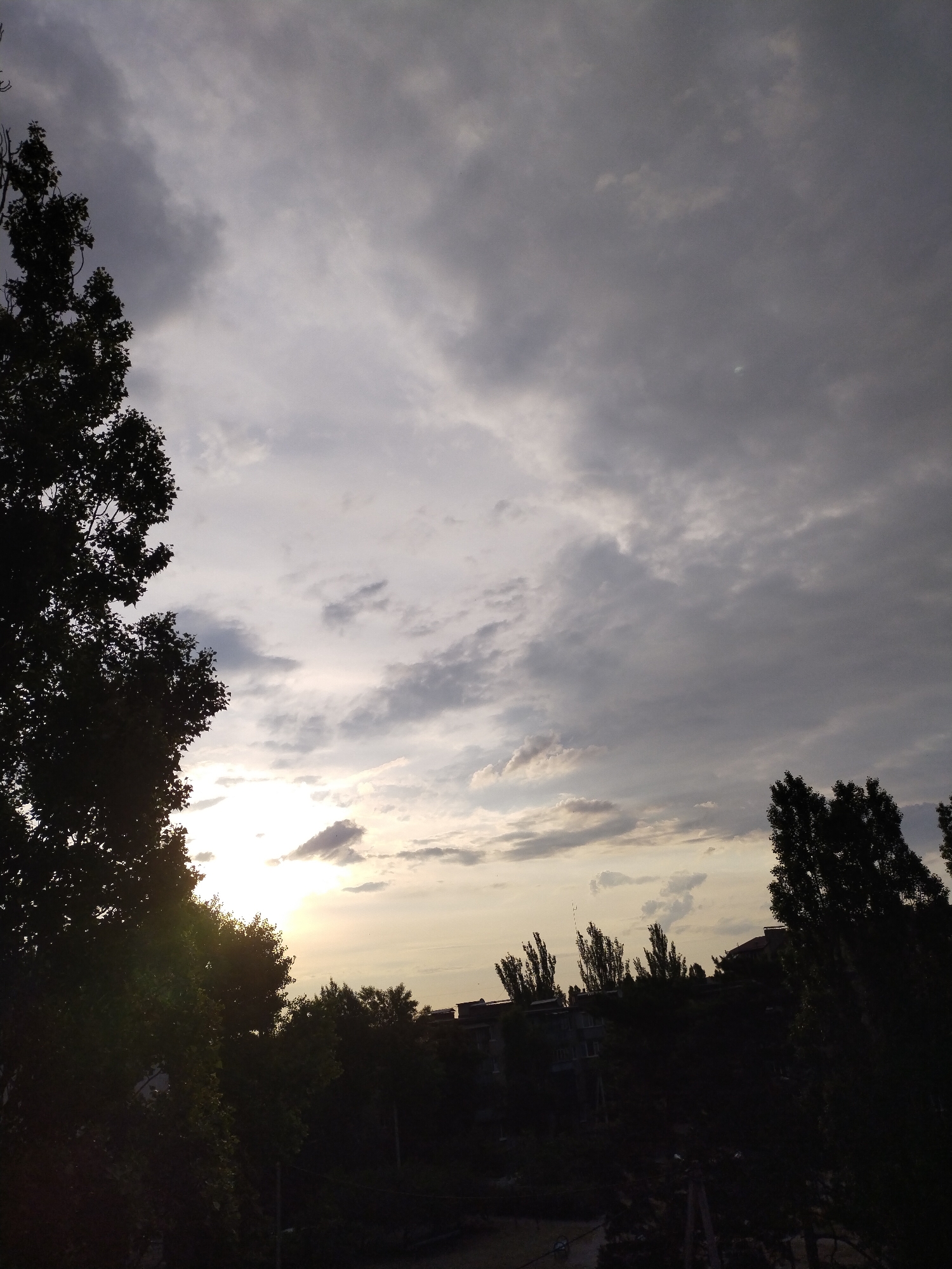 The image depicts an outdoor twilight scene, likely a sunset, over a partially urbanized landscape in Horishni Plavni, Ukraine. The upper two-thirds of the frame are dominated by a cloudy sky, transitioning from dark grey and slate-blue tones in the upper left and right corners to lighter grey and white clouds near the horizon. Towards the lower-left-center, the sun is visible as an intense, bright white flare, partially obscured by silhouetted tree foliage. This solar illumination casts warm, yellowish-orange light onto the surrounding clouds and the lower sky.
The lower third of the image is occupied by a dense band of trees and distant urban structures, all rendered in deep silhouette against the brighter sky. A large, leafy deciduous tree occupies the entire left vertical edge, with its branches and foliage forming an irregular dark mass. In the midground, spanning the bottom half of the image, numerous trees with varying crown shapes—some dense, others more slender and columnar (possibly poplars)—are visible as dark forms. Behind these trees, particularly in the central-right midground, the dark, indistinct silhouettes of several multi-story buildings can be discerned, indicating a residential or urban environment. Faintly visible in the darkest bottom section are dark vertical lines, suggesting utility poles, and horizontal lines, possibly power lines or wires. No individuals or specific actions are discernible within the frame. The overall impression is one of high contrast, with natural elements (trees, sky, sun) framing and partially obscuring the distant urban setting.