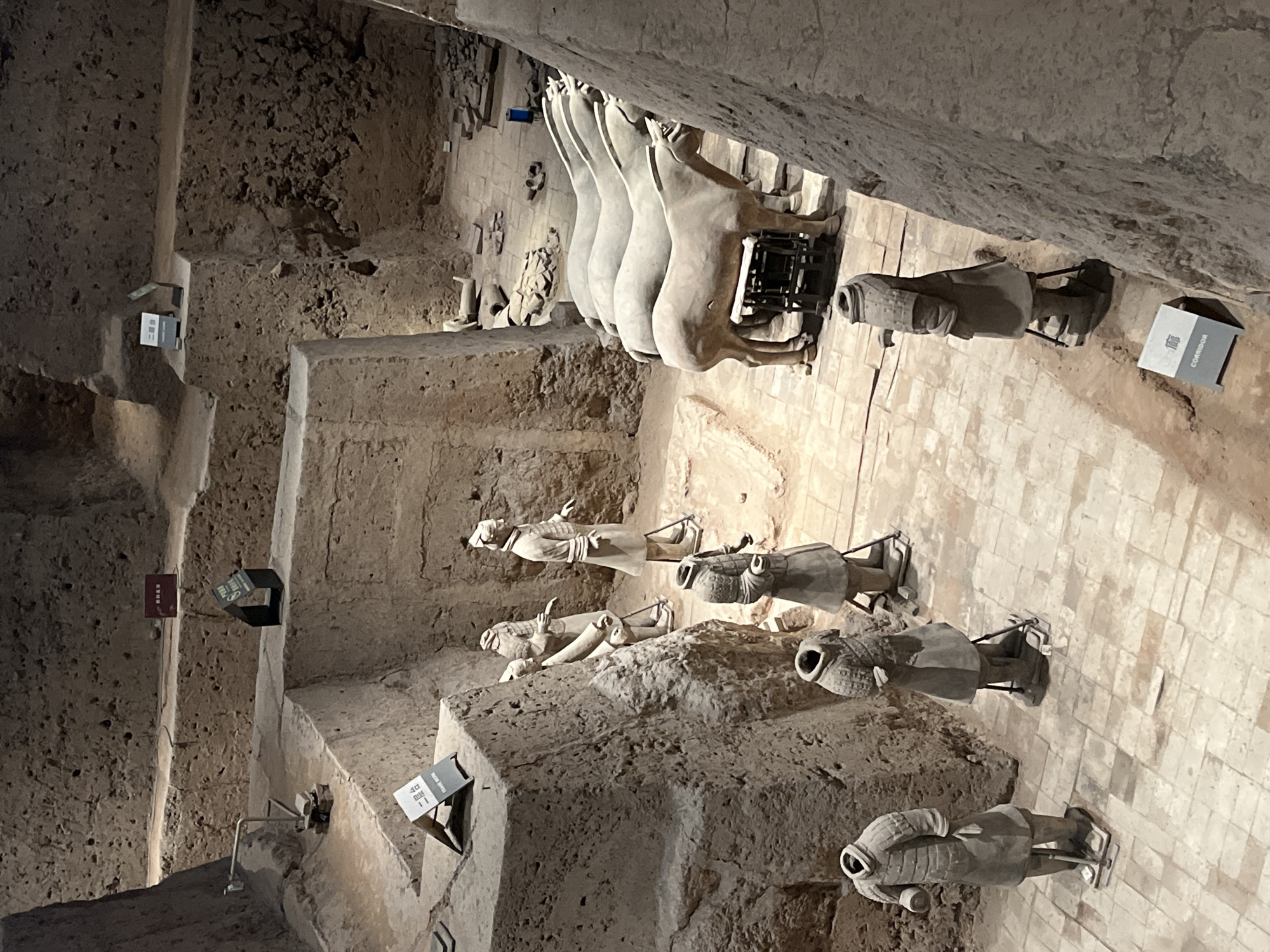 The image shows a section of an archaeological excavation, likely the Terracotta Army site in Xi'an, China. The scene features numerous life-sized terracotta warrior and horse figures arranged within a large pit. The figures are made of clay and appear weathered, with some missing limbs or heads, indicating their age and archaeological context. They are standing and positioned as if in formation.
In the foreground, several warrior figures are visible, some wearing detailed armor. Further back, a row of terracotta horse figures, also life-sized, are lined up. The figures are standing on a tiled floor within the excavation pit, which has rough, earthen walls and platforms. Several signs with Chinese characters and English text ("CORRIDOR") are placed around the site, providing information and guidance to visitors. The lighting suggests an indoor, possibly museum-like, environment designed to preserve the artifacts. The overall impression is one of a preserved ancient military formation.
