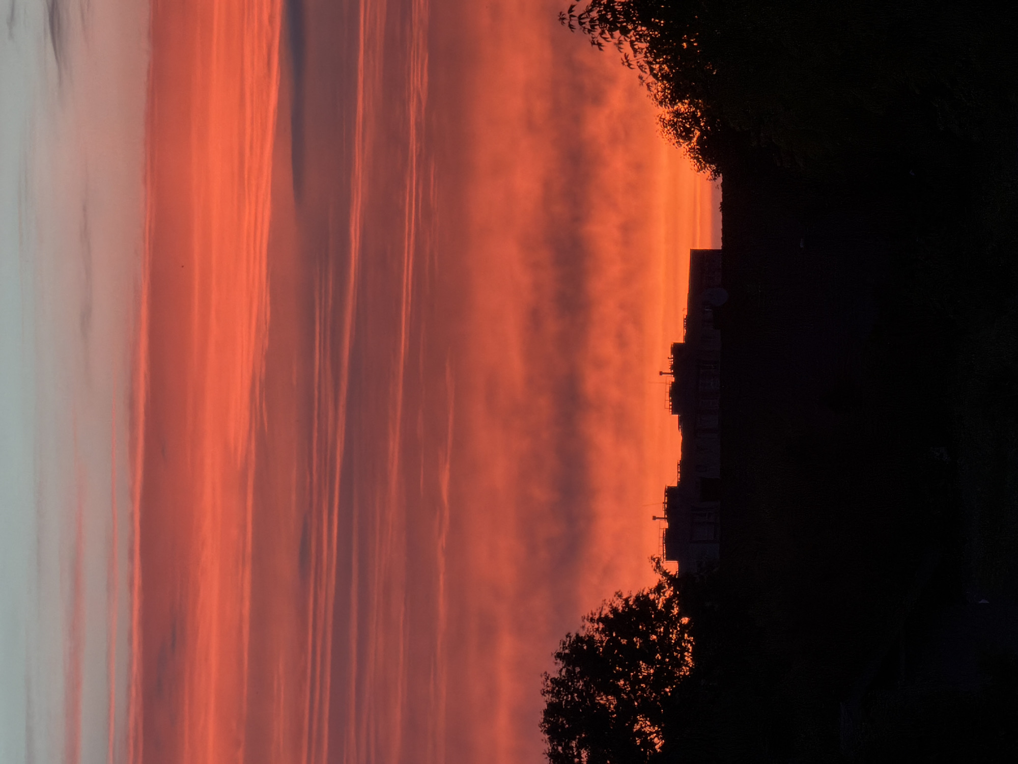 A vertical, medium shot captures a vibrant sunset over Dreiliņi, Latvia. The sky is dominated by vivid shades of orange and red, with horizontal streaks of lighter pink and subtle hints of pale blue near the top. Silhouetted against this dramatic sky are the dark shapes of trees on the left and right edges of the frame. In the middle ground, a long, flat building with visible rooftops and some detailing is also silhouetted. The foreground is entirely dark, obscuring any ground details. There are no visible people or animals in the image.