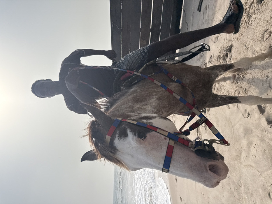 The image captures a person riding a horse on a sandy beach, seen from a low-angle perspective against a bright, clear sky.
The main subject is a young man, appearing to be of African descent, who is astride a horse. He wears a dark t-shirt, patterned shorts, and dark sandals. His face is turned slightly towards the left of the frame, partially shadowed by the bright light.
The horse is a light-colored breed, possibly a grey or roan, with distinctive white markings on its face, including a blaze and dark areas around its eyes. Its mane is dark brown. It is fitted with a vibrant bridle featuring straps in red, blue, and white, adorned with a repeating geometric pattern resembling a Greek key design. A saddle is also visible beneath the rider.
The setting is a beach environment, with light-colored sand occupying the foreground and middle ground, showing faint footprints. On the left side of the frame, the calm ocean water meets the shore. A dark wooden structure or wall is partially visible on the far right.
The bright, somewhat backlit illumination suggests it is daytime, likely morning or afternoon, with the sun high in the sky. The weather appears sunny and pleasant. The scene depicts a leisurely outdoor activity. While there are patterns on the bridle and the rider's shorts, no discernible text is clearly visible on any objects or clothing. The location context for this activity is Mopo Onijebu, Nigeria.