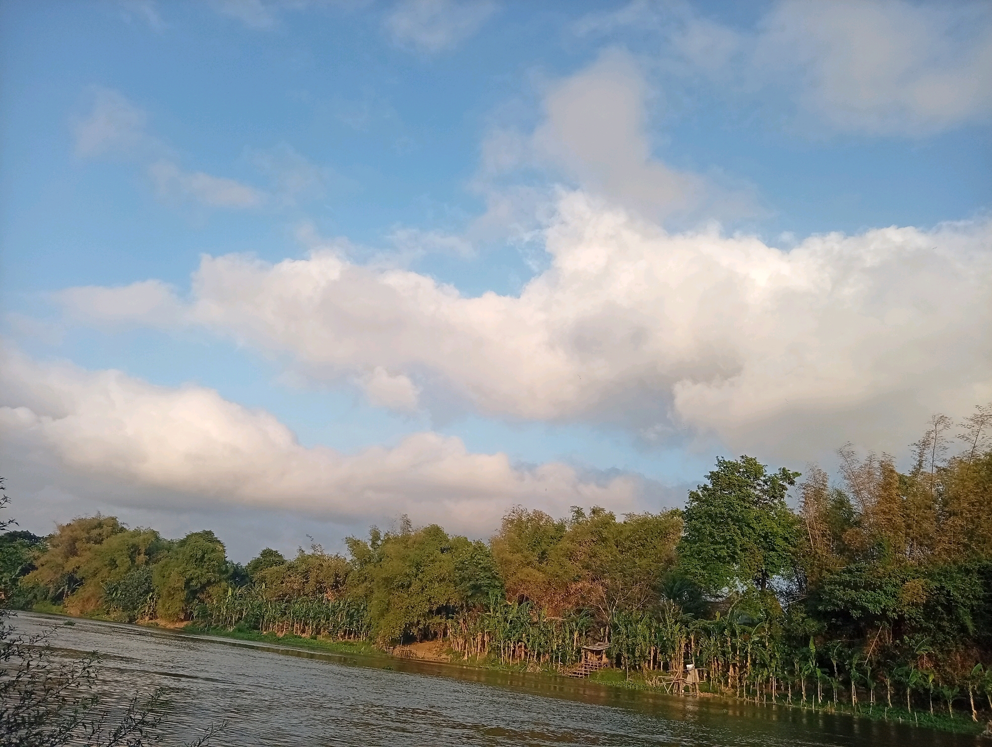 The image depicts a serene riverbank scene, likely in or near the city of Kediri, Indonesia. A calm river occupies the foreground, its surface rippled by a gentle breeze. The far bank is lined with lush vegetation, including a dense array of banana trees and taller bamboo stalks, suggesting a tropical or subtropical environment. A small, rustic wooden structure, possibly a fishing hut or a simple shelter, is visible nestled among the trees, with a narrow wooden walkway leading to it from the bank. The sky above is a blend of soft blue and large, fluffy white clouds, illuminated by the warm light of either early morning or late afternoon. The overall impression is one of natural beauty and tranquility, characteristic of the rural outskirts of a city like Kediri, known for its agricultural landscapes and rivers.