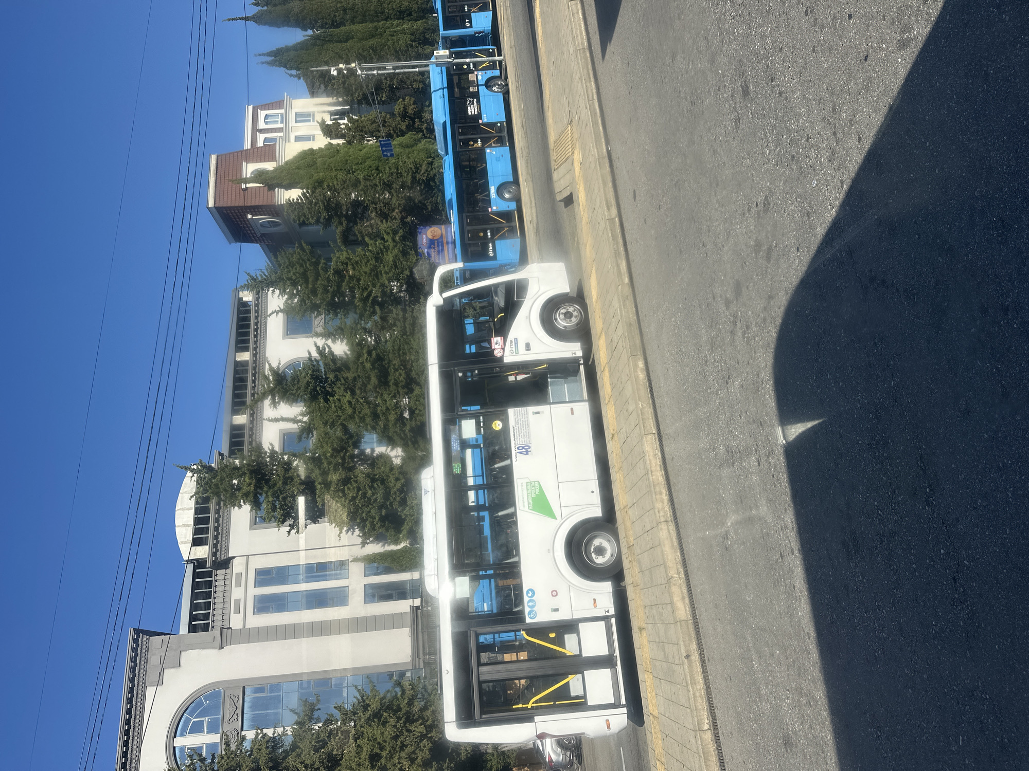 The image depicts a street scene in Sochi, Russia, on a clear, sunny day. In the foreground, a white bus is parked at a bus stop, with its doors open. The bus displays the number "48" and has an emblem featuring a green leaf. Beside it, a row of blue buses are lined up, also at a bus stop. The background features modern buildings with large windows and trees lining the street. Power lines are visible crisscrossing the bright blue sky. The street is paved, and a yellow curb marks the edge of the sidewalk. The overall impression is one of urban infrastructure and public transportation.
