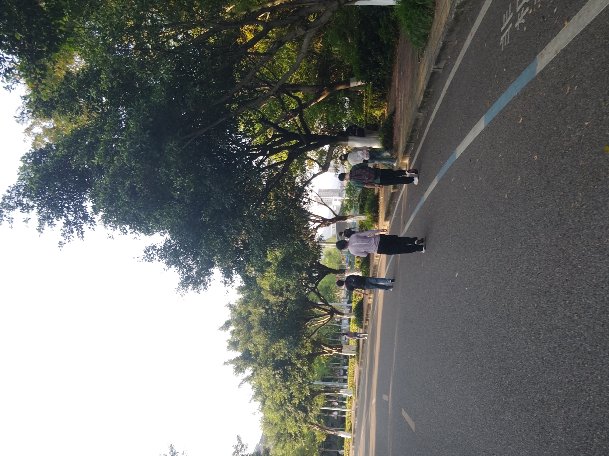 The image depicts a road in Chongqing High-tech Zone, China, bordered by trees on one side and a curb with a small patch of vegetation on the other. A blue line marks the edge of the lane. Several people are walking along the road, spaced apart from each other. They appear to be dressed in casual attire. The trees are green and lush, with branches extending over the road. The sky is bright, suggesting it is daytime.