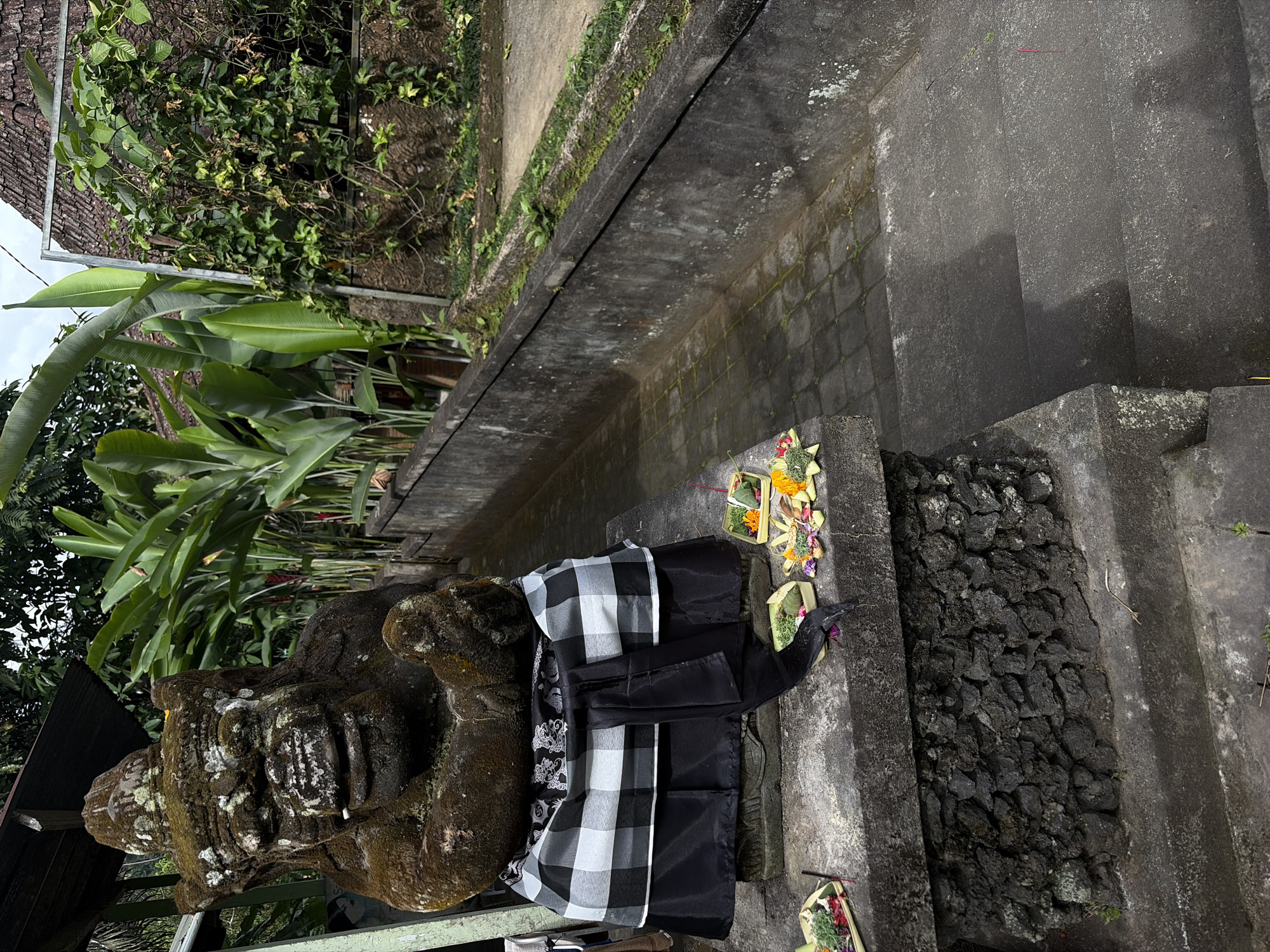 A stone statue, partially covered in moss, sits on a stone pedestal in Tegallalang, Indonesia. The statue depicts a grimacing figure wearing a black and white checkered sarong and a black sash. In front of the statue, on the pedestal, are several small woven baskets filled with offerings of flowers and incense. Behind the statue, a pathway lined with a low stone wall leads to a tiled area. Lush green banana plants and other foliage surround the scene, with a tiled roof and a vine-covered wall visible in the background. Stone steps descend from the pathway in the foreground.