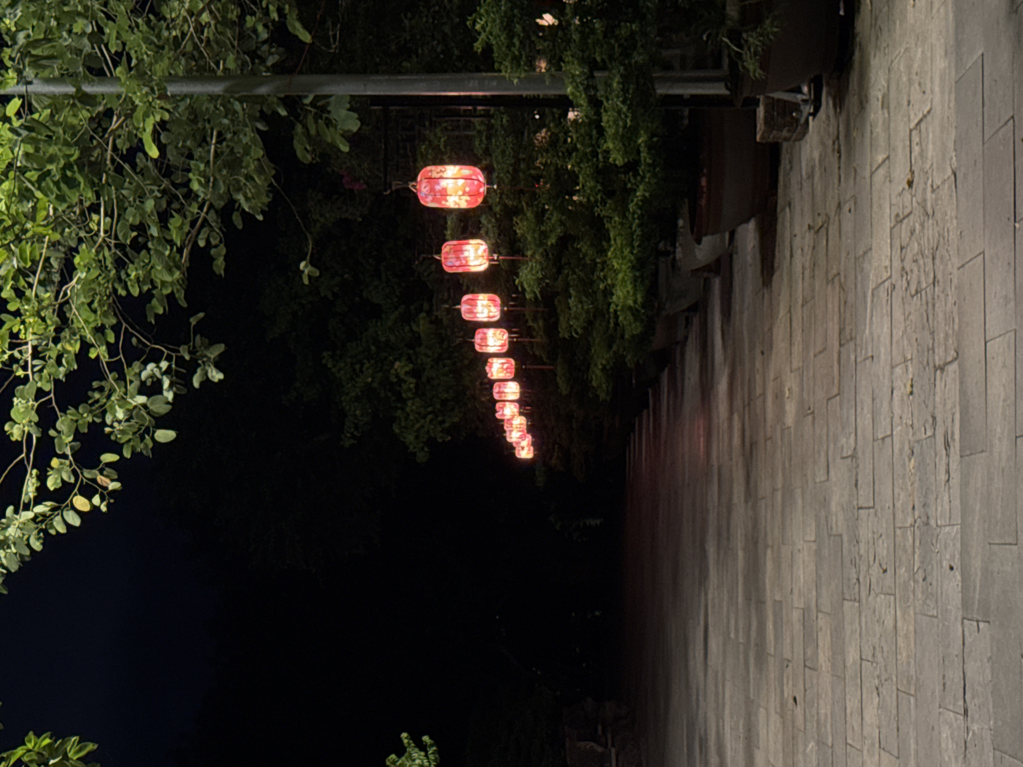 The image captures a pathway paved with large rectangular stones, illuminated by a row of red, lantern-like lights. These lights hang from poles and are strung along the right side of the path, casting a warm glow on the surrounding greenery. Lush, dark green bushes and trees line the pathway, with more foliage and branches visible at the top of the frame, obscuring the night sky. The path leads into the distance, where the lights and greenery create a sense of depth. The scene suggests an outdoor setting, possibly a garden or a promenade, at night. The presence of potted plants in large containers further enhances this impression. Without specific contextual clues or identifying markers, pinpointing the exact location within Đà Nẵng is not possible based solely on the visual information provided.