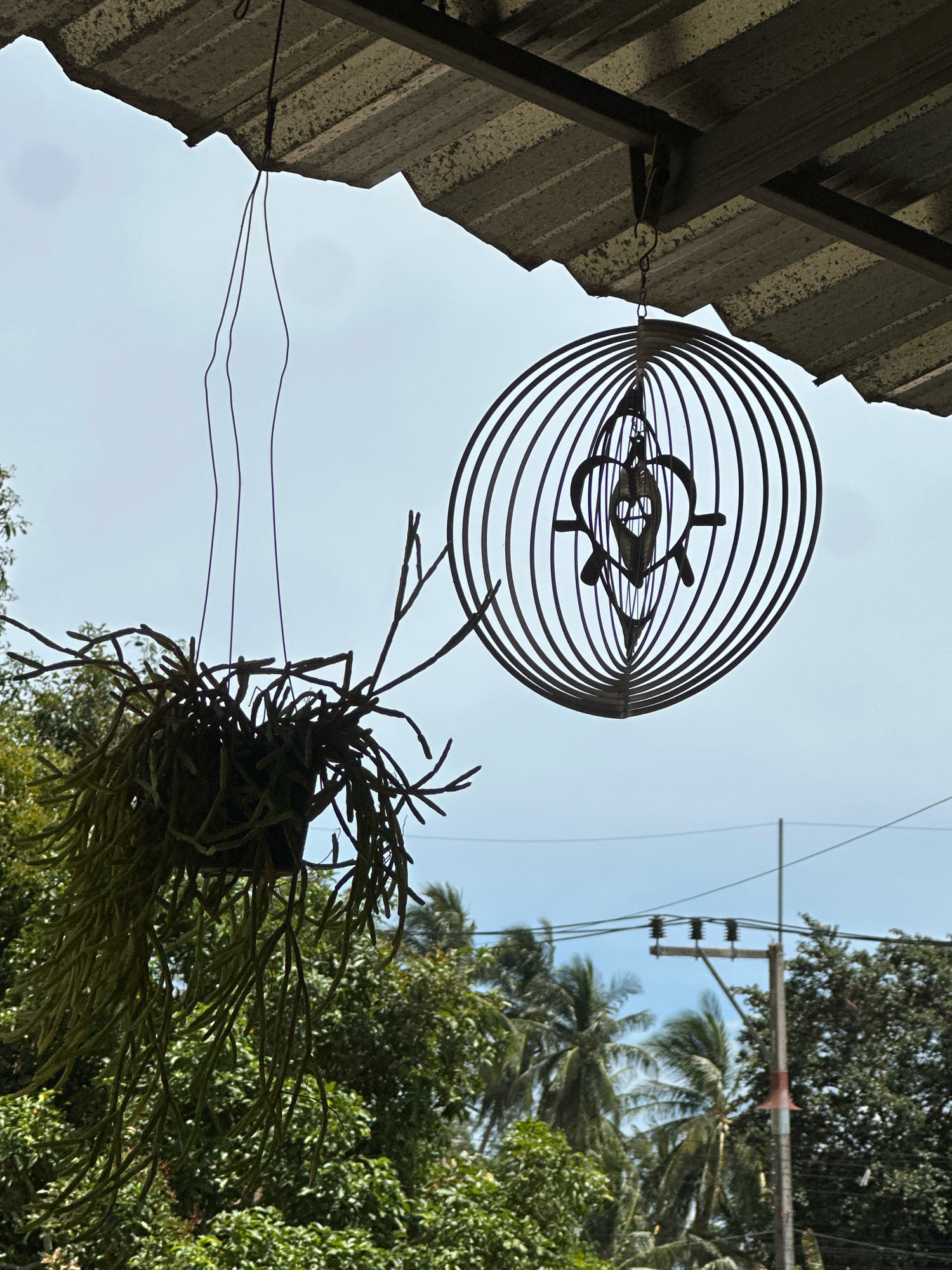 An outdoor scene under a corrugated metal roof, possibly in Ko Pha-ngan District, Thailand. A hanging basket of Rhipsalis plant with long, thin stems is suspended by wires on the left. To the right, a metal wind spinner with concentric circles and a central heart-shaped design hangs from another wire. In the background, lush green trees, including palm trees, are visible against a bright, overcast sky. Utility poles with electrical wires are also present in the middle ground, indicating an urban or semi-urban setting. The overall impression is a tranquil, possibly tropical, outdoor space.