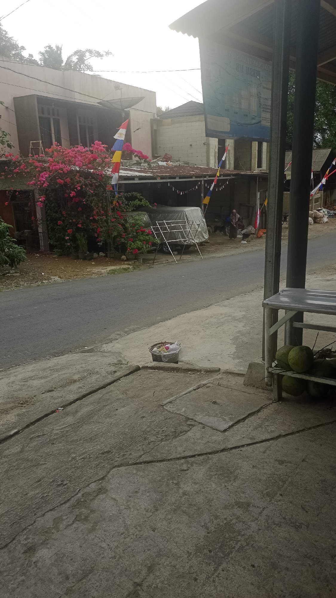 The image depicts a street scene in Tonjong, Indonesia, with a focus on the foreground and midground. In the immediate foreground, a cracked concrete surface leads to a drain. To the right, a metal shelf holds several green coconuts. A woven basket filled with debris sits on the sidewalk in the midground, near the edge of an asphalt road.

Across the road, a two-story building with light-colored walls and dark-trimmed windows is visible. Vibrant pink bougainvillea flowers cascade down the side of this building. Adjacent to it, another structure appears to be under construction or renovation, with exposed brickwork and a corrugated metal roof. Several Indonesian flags, red and white, are displayed on poles in front of these buildings.

Further back, a vehicle covered with a gray tarp is parked. A person, wearing a headscarf and dark clothing, is seated near this covered vehicle. A large, faded blue banner with text and images is hung from a pole on the right side of the image, obscuring a portion of the background buildings. The overall environment suggests a residential or commercial area with signs of daily life and ongoing activity. The sky is overcast, indicating a diffused light.