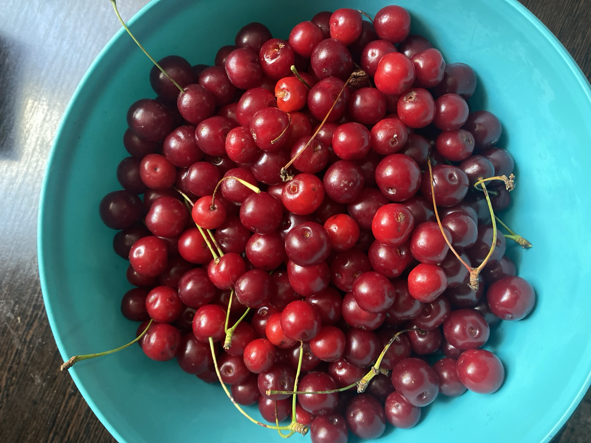 A close-up, overhead shot shows a vibrant teal bowl overflowing with ripe, dark red cherries. The cherries, with their delicate green stems, are clustered tightly together, filling the bowl to its brim. The surface of the wooden table beneath the bowl is visible as a dark, textured expanse. The lighting is natural, highlighting the glossy sheen of the cherries and the matte finish of the bowl. There are no people or animals present in the image. The scene is devoid of any context that would place it in the city of Akhtyrskiy, Russia, or any other specific urban location.