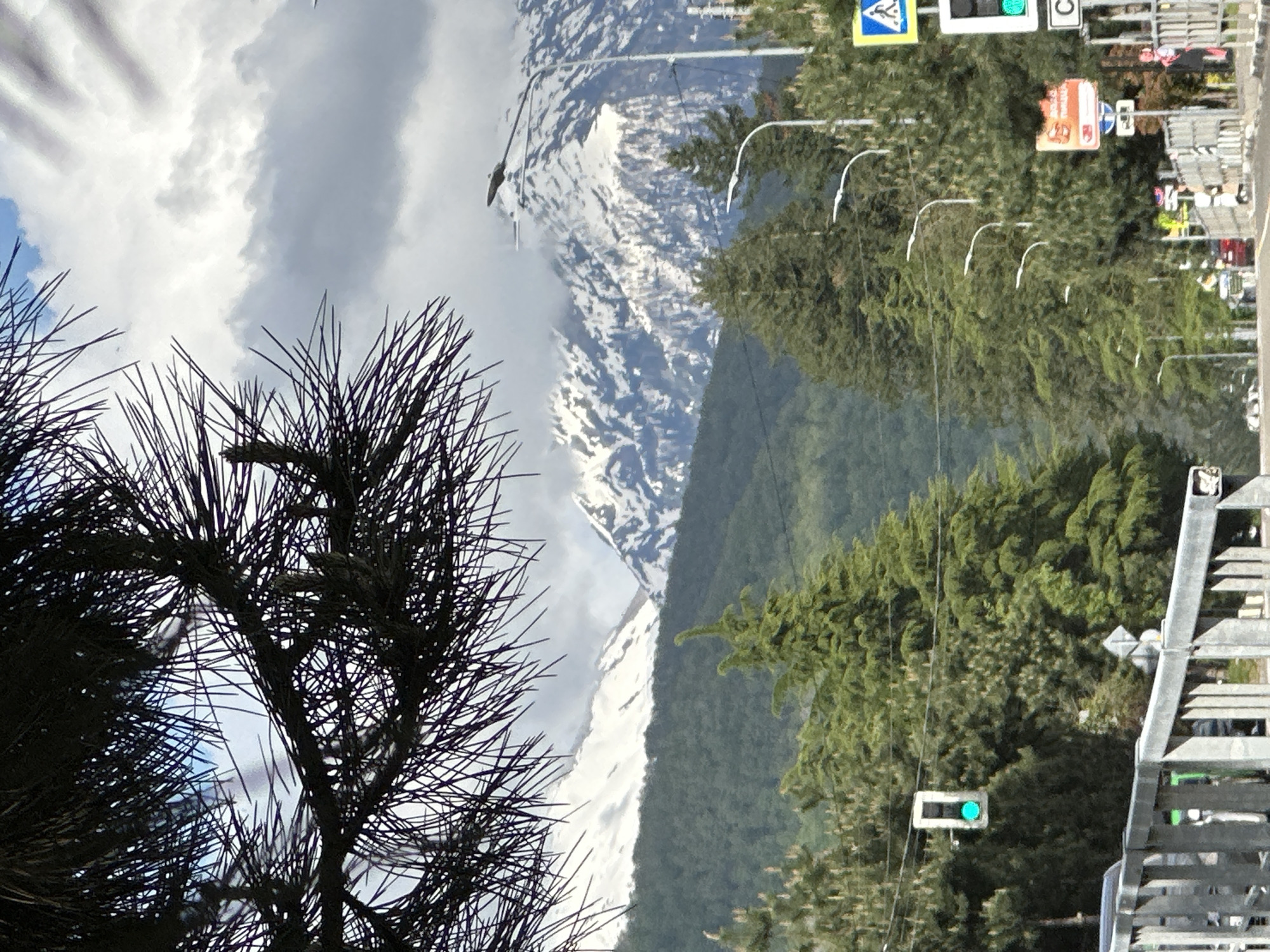 The image is a view from what appears to be a street in Krasnaya Polyana, Russia, looking towards a snow-capped mountain range. A tree with needle-like foliage dominates the foreground on the left. To the right, there are other trees forming a dense green band that contrasts with the white peaks of the mountains. Traffic signals and road signs are visible, suggesting the location is urban. The sky is partly cloudy. A bridge is visible in the lower right-hand corner.