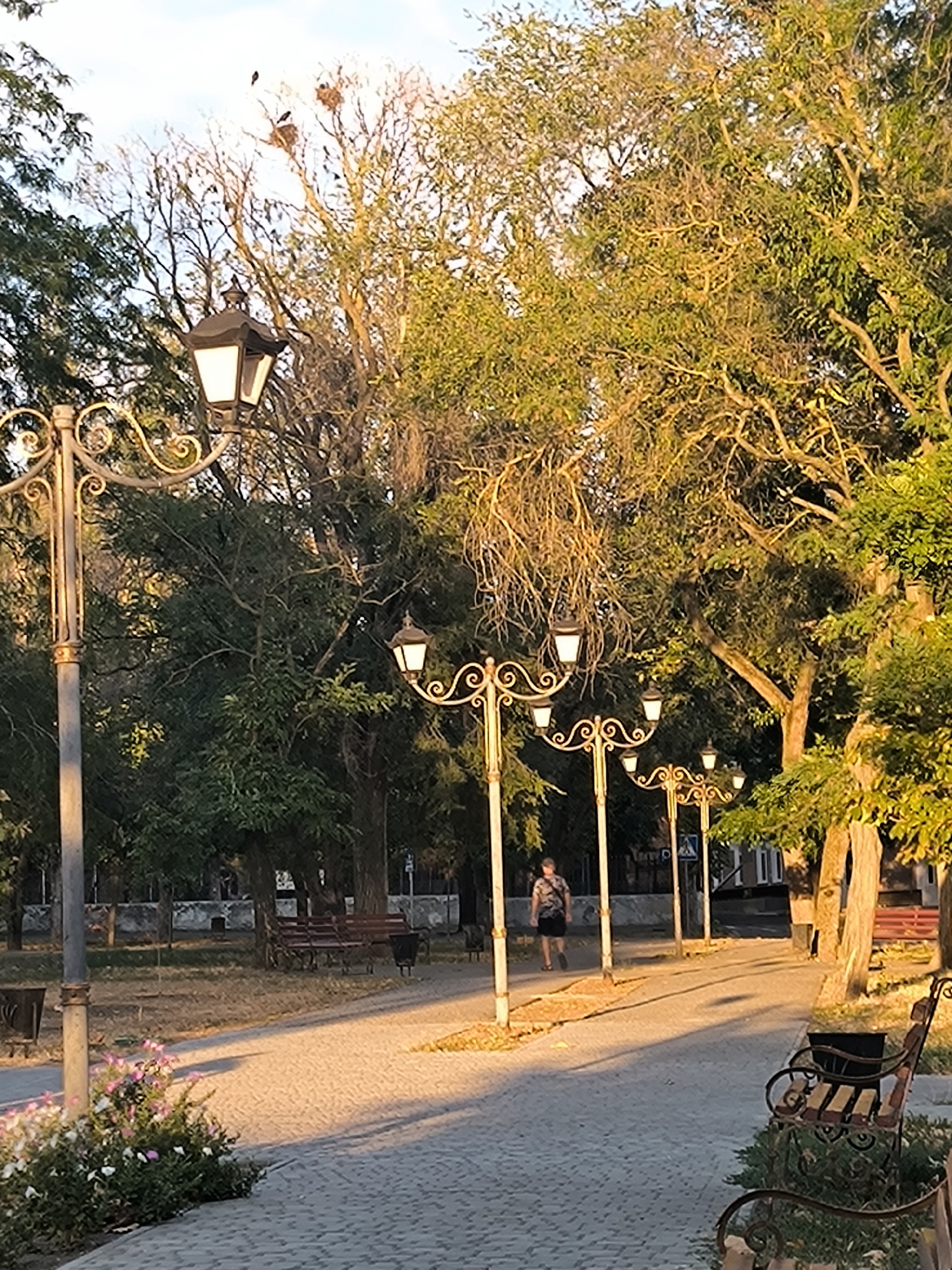 The image depicts a park in Mykolaiv, Ukraine, bathed in the warm light of the late afternoon sun. A paved walkway curves through the park, lined with decorative lampposts. On the left, a cluster of pink and white flowers is in bloom. Further down the path, a lone individual walks away from the camera, dressed in a patterned shirt and dark shorts, carrying a small bag. Benches and trash cans are visible along the walkway, some of which are occupied by nesting birds. Lush green trees with dense foliage dominate the background, casting long shadows across the path. The sky is a soft blue with scattered clouds, indicating fair weather. The overall impression is one of a peaceful, well-maintained public space.