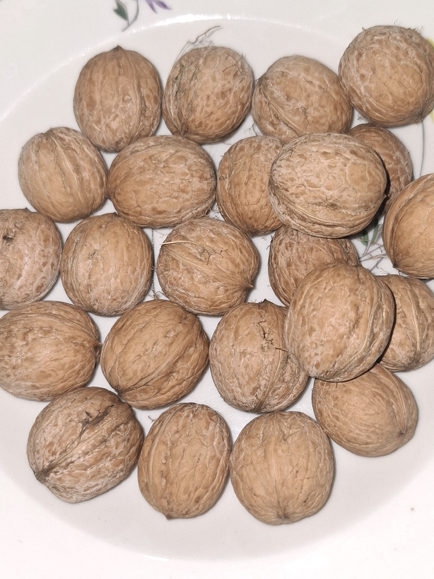 A top-down, medium shot captures a collection of whole walnuts scattered across a white, shallow ceramic bowl. The bowl has a delicate, subtle floral pattern in purple and green near the top left edge. The walnuts vary slightly in size and shape, with their characteristic textured, light brown shells filling the frame. Some walnuts are nestled closely together, while others are more spread out. The lighting is bright and even, casting minimal shadows and highlighting the natural texture of the walnuts. The scene appears to be indoors, likely in a domestic setting, with no external environmental factors visible. The image does not depict any people, actions, or interactions. The location is stated as the city of Almaty, Kazakhstan, however, this detail is not visually discernible from the image content itself.