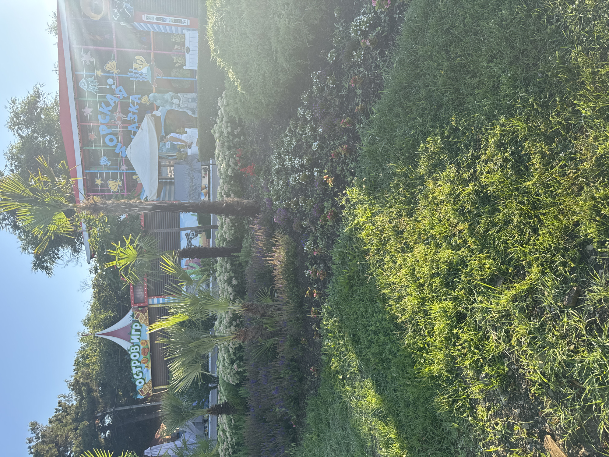 The image shows a sunny outdoor scene with lush green grass in the foreground, illuminated by sunlight casting shadows. Behind the grass, there is a well-maintained garden bed featuring a variety of flowering plants in shades of purple, white, and pink, interspersed with palm trees. In the background, a building with colorful signage is visible, with one sign displaying "ОСТРОВ ИГР" (Island of Games) and another with "МОРСКАЯ СКАЗКА" (Sea Tale). The building appears to be a children's entertainment center or amusement area, with playful decorations and structures. A white canopy and some decorative statues are also present in front of the building. The sky is clear and blue, suggesting fair weather.