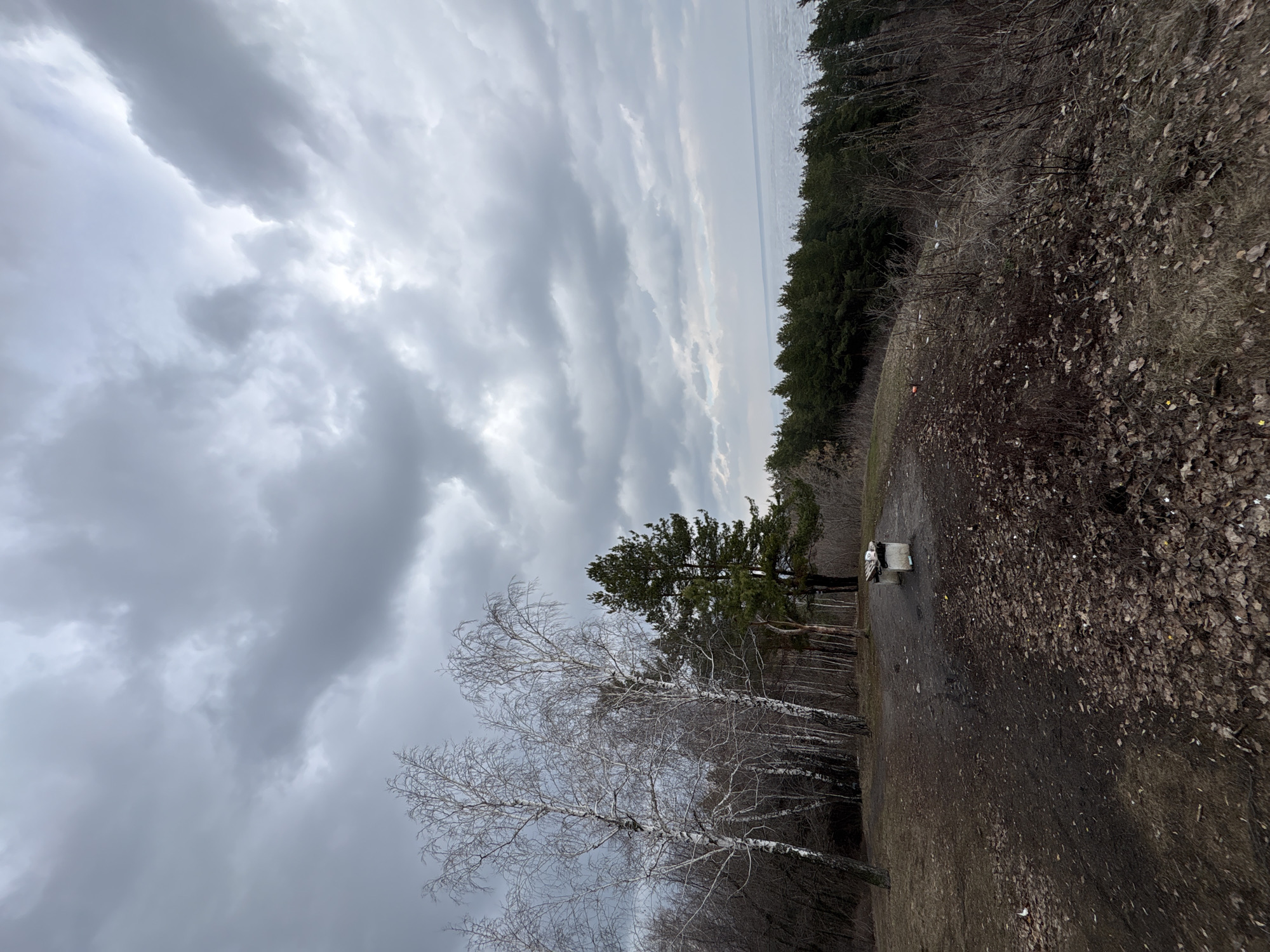 The image depicts an outdoor scene in Ulyanovsk, Russia. Dominating the view is a gray, overcast sky filled with striated clouds. The ground is covered with fallen leaves and bare soil, suggesting a season of late autumn or early spring.
The right side of the image shows a wooded area with a mix of deciduous and evergreen trees. On the left, there are several bare birch trees, their white bark standing out against the dark sky.
A small, dirt path runs through the scene. A bench is visible along the path. There is no visible human activity.