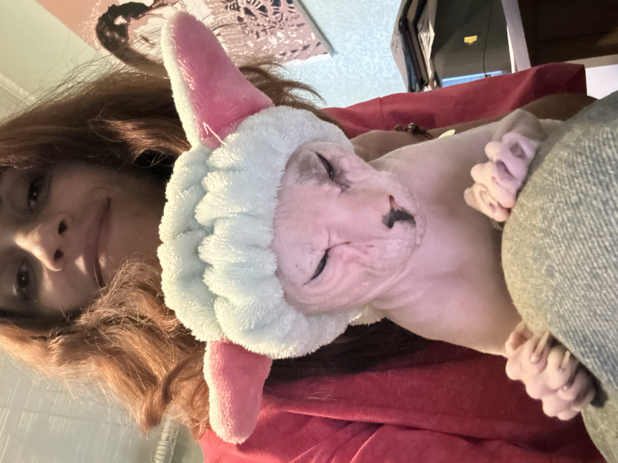 A woman with auburn hair, wearing a pink top, is holding a pink-eared Sphynx cat. The cat is wearing a light blue, fuzzy headband with pink ears that resemble a cartoon character. The cat's eyes are closed. The woman's face is partially visible, and she appears to be smiling. The background includes a wall with a pink patterned tapestry, and a desk with stacks of papers and a computer monitor. The scene appears to be indoors, possibly in a residential setting. There is no information to indicate the location is in Togliatti, Russia.