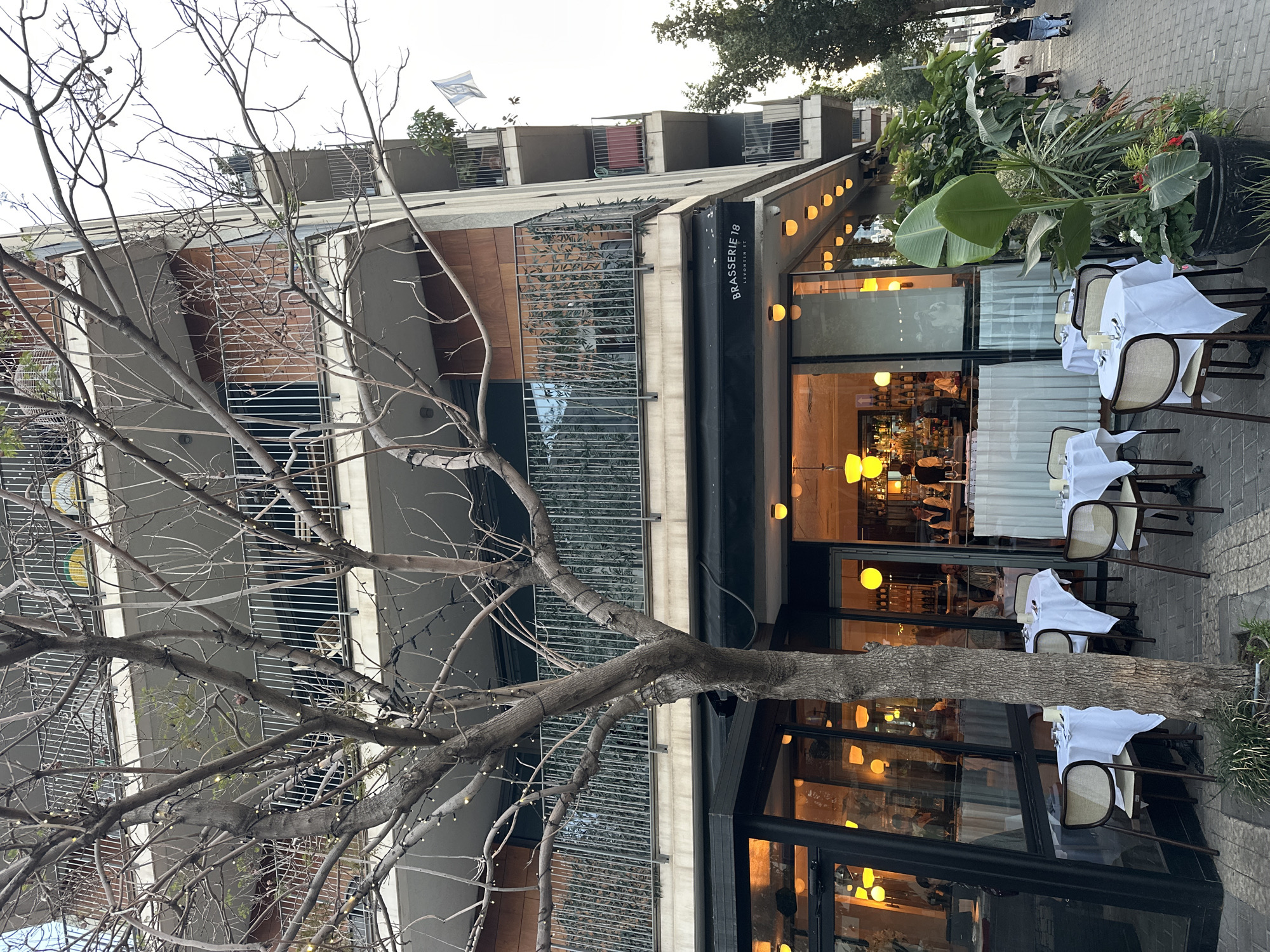 This media file presents a vibrant street scene in Tel-Aviv, Israel, featuring the exterior of a restaurant with outdoor seating. The image appears to be captured in the late afternoon or early evening, indicated by the warm, illuminated interior lights of the establishment and the bright but soft natural light.
In the foreground, a prominent, leafless tree with intricate branches dominates the left side, decorated with numerous small, warm-toned fairy lights. This tree partially obstructs the view of the multi-story building behind it.
The restaurant is identified by a vertical black sign that reads "BRASSERIE 18" at the top, with "LEVONTIN 18" printed below it, suggesting its name and street address. The building features large glass windows, offering a glimpse into the brightly lit interior where patrons and bar stools are visible. The building's facade incorporates horizontal metal grates and wooden paneling on its upper levels, and circular sconce lights are affixed to the exterior wall, providing additional illumination.
An inviting outdoor dining area is set up on the paved sidewalk in front of the restaurant. Several tables are neatly arranged, each draped with a crisp white tablecloth and paired with chairs featuring beige woven backs. Large, lush potted plants, including tropical-looking varieties with broad green leaves, separate this dining area from the pedestrian walkway.
Further down the street, in the background, a few pedestrians can be seen walking, suggesting a bustling urban environment. On the rooftop of the building, a white and blue flag, resembling an Israeli flag, is visible against the sky. The overall atmosphere conveys a welcoming and upscale urban dining experience.