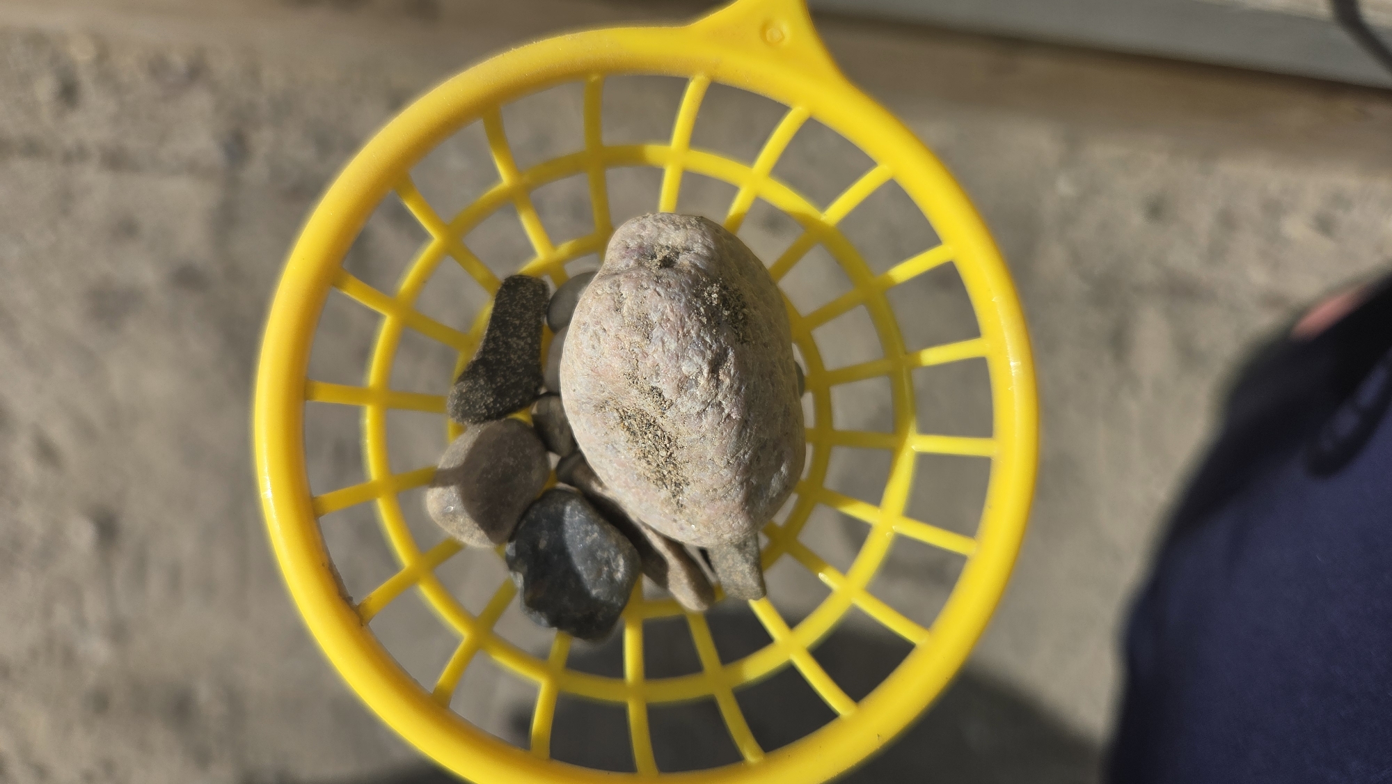 A top-down shot shows several rocks and pebbles nestled within a bright yellow plastic sieve. The sieve has a circular rim and a grid of openings. The rocks vary in size and color, with some appearing gray and others pinkish-brown, and some are dusted with a fine granular material. The background consists of a textured, light-colored surface, possibly concrete or gravel, with some darker areas indicating shadows or variations in the material. A blurred shadow in the lower part of the frame suggests a person is holding or interacting with the sieve. The scene is illuminated by bright sunlight, casting distinct shadows. The location is Tynset, Norway, suggesting an outdoor setting.