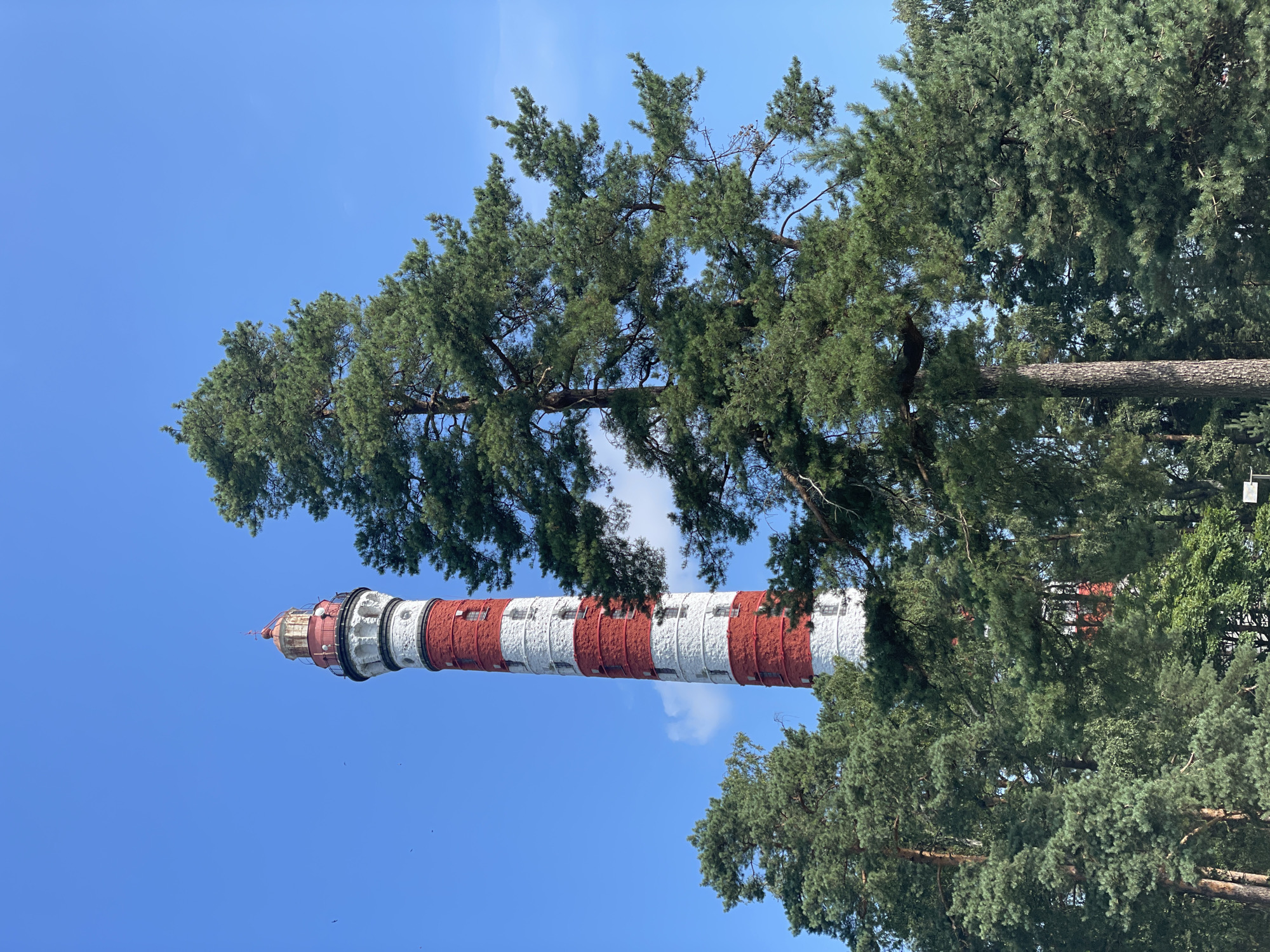 The image shows a tall, red and white striped lighthouse, likely the Ladoga Lighthouse, situated in a forested area. The lighthouse is cylindrical and segmented, with white bands alternating with red ones. It has a red cap and a lantern room at the top. The lighthouse is partially obscured by lush green pine trees and other foliage. The sky is clear blue with a few wispy clouds. The scene is set outdoors on a sunny day.
