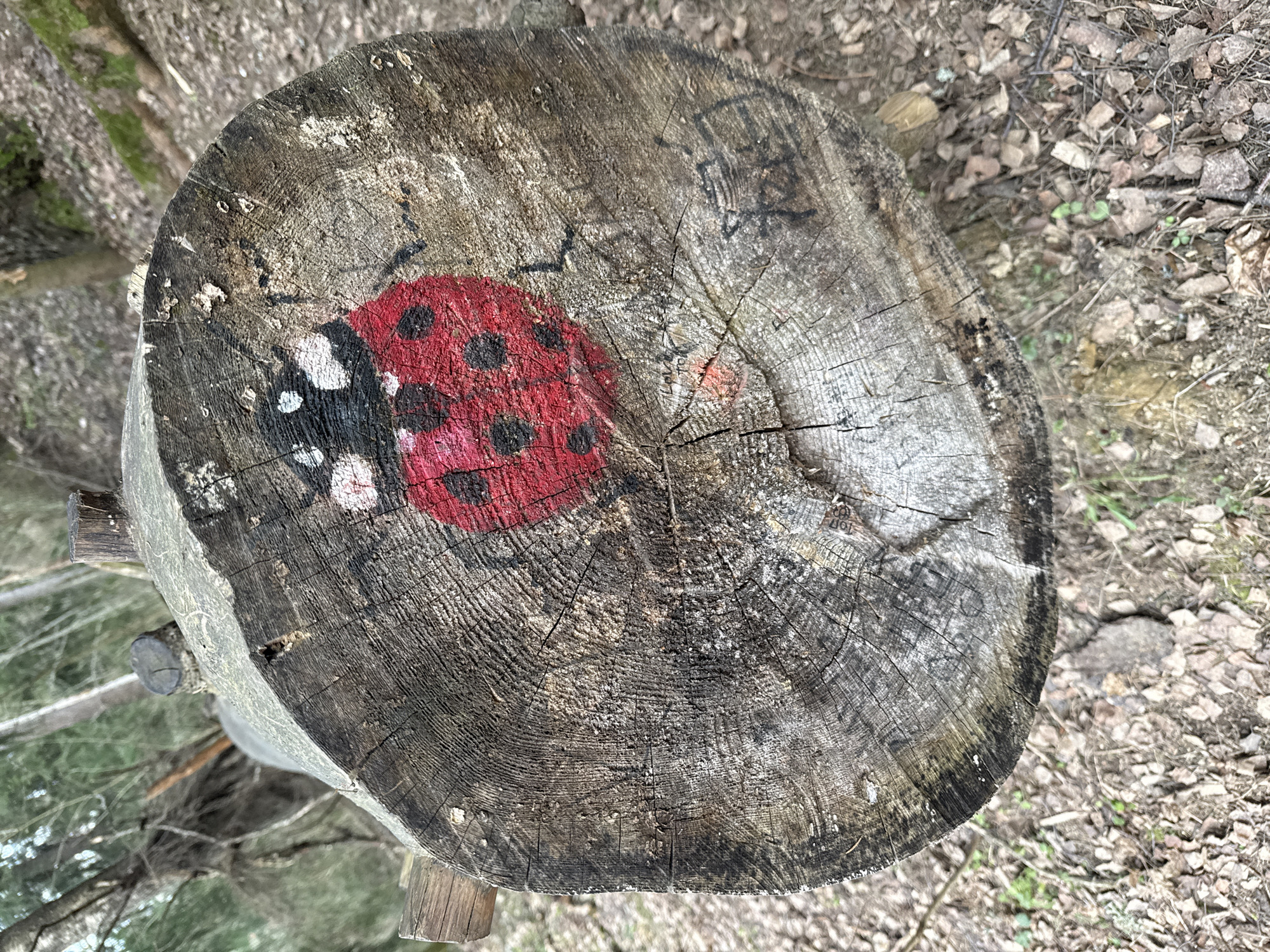The image shows a tree stump in a forest setting. The stump has been painted with a red ladybug with black spots and white markings on its head. There is also some graffiti on the stump near the ladybug. The ground surrounding the stump is covered with leaves and forest debris. The exact location in Toksovo, Russia, cannot be determined from the image.