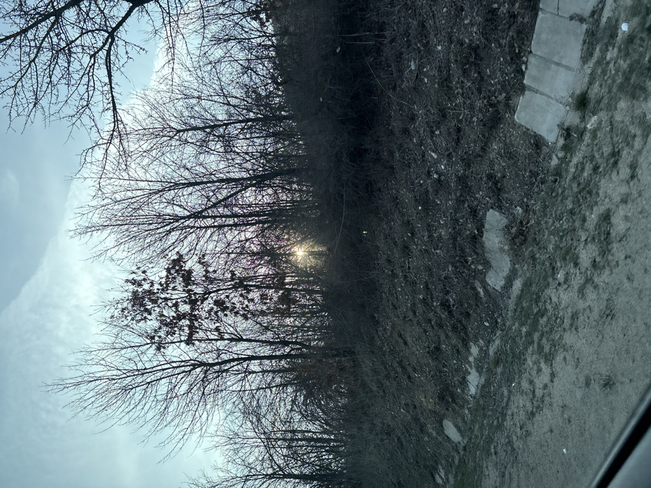 The image depicts a rural or semi-rural roadside scene in Dobromirka, Bulgaria, under a partially cloudy, light blue sky with the sun low on the horizon. The sun, partially obscured by trees, generates a strong lens flare near the center of the image, illuminating the scene from behind. The dominant feature is a dense line of mostly bare deciduous trees silhouetted against the sky, indicating late autumn or winter. One tree in the upper middle retains some dark leaves. Below the tree line, a moderate slope rises towards the viewer's right, covered with dry, sparse grass, brush, and fallen leaves. Scattered light-colored debris is visible on the slope. Along the base of the slope, a series of light grey concrete slabs are arranged, forming what appears to be a drainage channel or erosion barrier. The immediate foreground, at the bottom left, shows a dark, curved object consistent with a vehicle's interior, suggesting the image was captured from inside a car or truck, looking out towards a dirt or gravel verge. No individuals or specific actions are visible within the frame.
