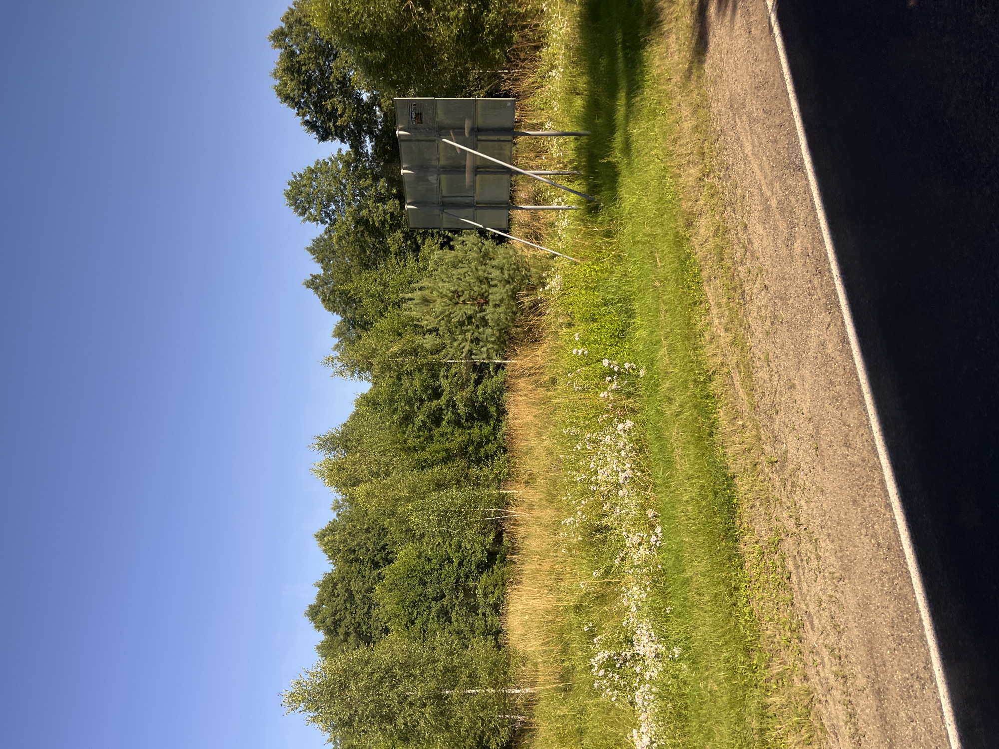 The image captures a rural scene under a clear blue sky. In the foreground, a dirt road with a white line marking its edge runs diagonally across the frame. Beyond the road is a grassy verge interspersed with dry grass and small white wildflowers. A dense line of various green trees forms the background, with taller, lighter-barked trees like birches visible on the left. To the right of the grassy field, a dark, rectangular billboard stands supported by metal poles. The billboard's surface is composed of multiple square panels, some of which appear weathered. A small, dark object, possibly a sign or sticker, is affixed to the upper right corner of the billboard. The overall impression is one of a quiet, natural landscape with a man-made structure in the distance. The scene is likely located in the vicinity of Мядзельскі сельскі Савет, Belarus, given the typical landscape and vegetation.