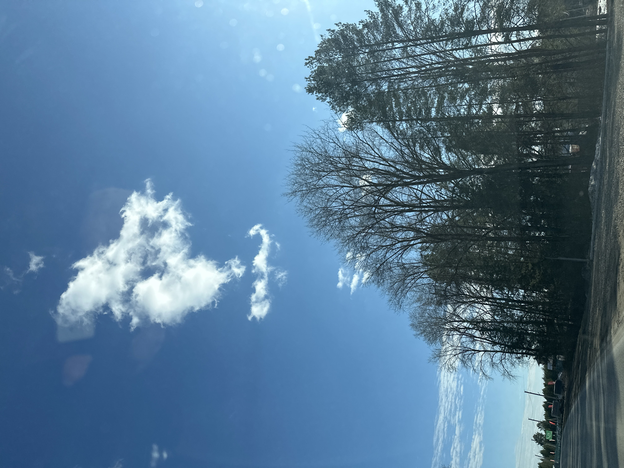 The image shows a view of the sky with trees along the right side of the frame. The sky is blue with scattered cumulus clouds. A mix of evergreen and deciduous trees are visible. A road is located at the bottom right of the frame. The location is not explicitly stated as being in Chaikovsky, Russia; this must be derived from external knowledge. No people or actions are visible.