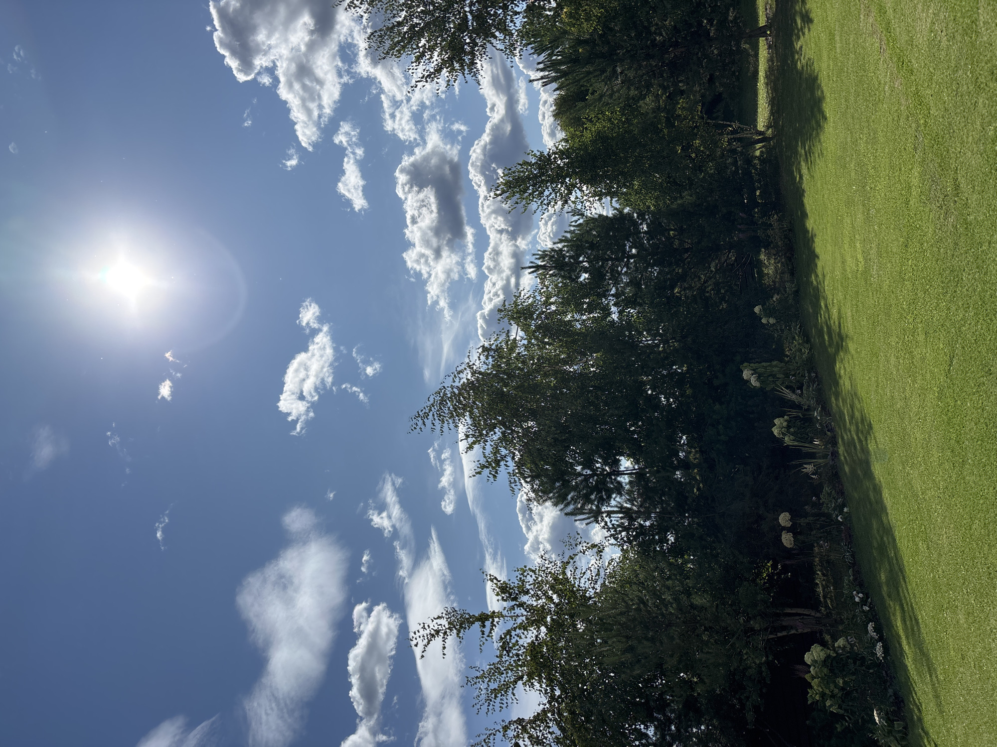 A vertical, medium-shot image shows a bright, sunny day with a brilliant sun glaring in the upper center of the frame. A clear blue sky is filled with scattered white and gray clouds. Below the sky, a line of lush green trees and bushes forms a natural border, with some of the trees appearing to be birch and pine. A manicured green lawn slopes gently downwards from the foreground, casting dappled shadows from unseen trees. In the middle ground, a flowerbed with white hydrangeas and other greenery is visible. The scene appears to be a garden or park in Pokrovskoe, Russia.