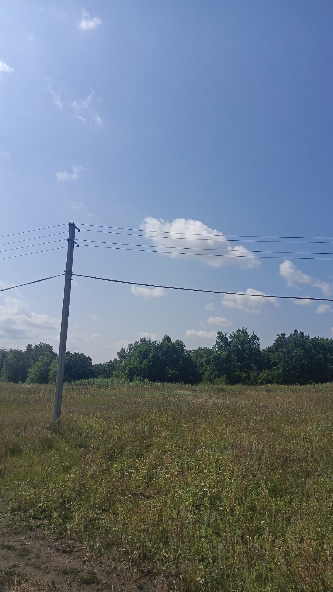The image shows a rural landscape with a concrete utility pole on the left side, supporting multiple overhead wires. The pole is situated in a field of dry grass and some green vegetation, with a dirt path visible in the foreground. In the background, a dense line of green trees forms a treeline. The sky is clear blue with scattered white clouds. The location is identified as Ivanov, Russia, suggesting this is a view within or on the outskirts of that city. There are no people or animals visible in the scene. The lighting indicates it is daytime, likely a sunny day.