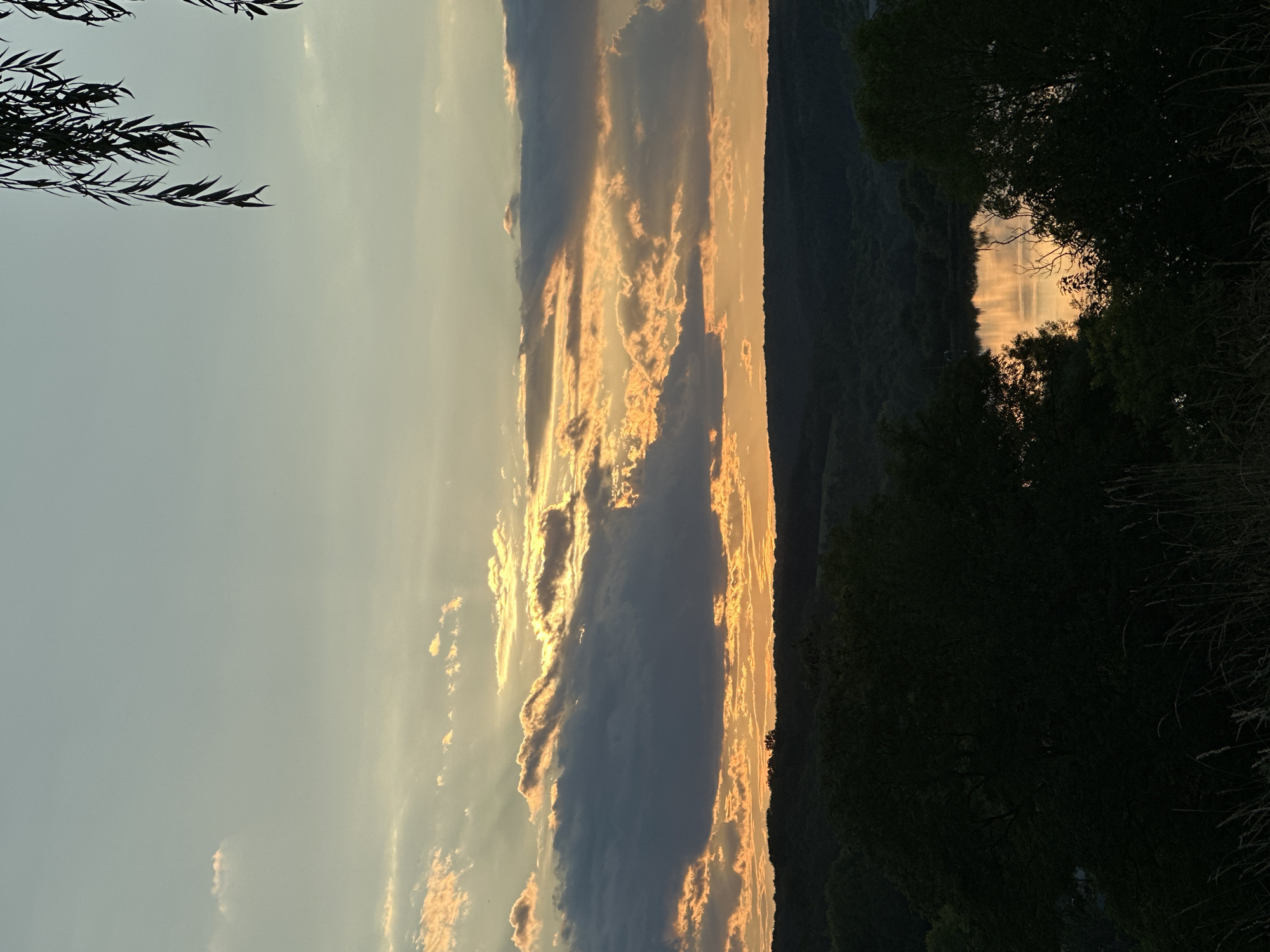 This is a landscape photograph taken at sunset in Makiv, Ukraine. The sky is filled with dramatic clouds, with the sun's rays breaking through, casting an orange glow. Below the sky, a dark, tree-covered hillside slopes down to a body of water that reflects the sunset. In the foreground, silhouetted trees and tall grasses frame the scene. The overall impression is one of a peaceful, natural setting during the golden hour.