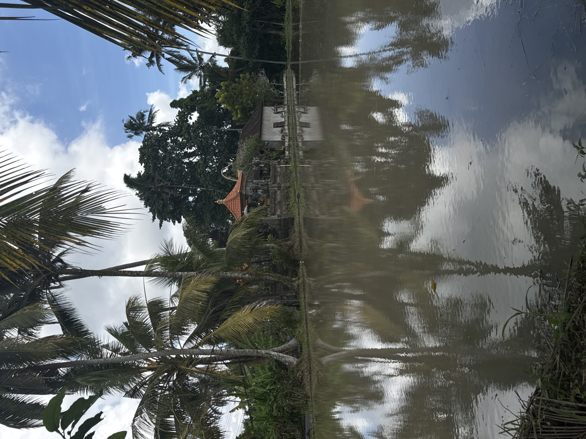 A body of water, likely a flooded rice paddy, occupies the foreground of this image, reflecting the overcast sky and the surrounding tropical vegetation. On the far bank, a small, traditional Balinese compound is visible, consisting of several low-lying structures, one with an orange-tiled, multi-tiered roof. This building appears to be a shrine or temple. Palm trees and dense, green foliage dominate the background, with some fronds extending into the frame from the top left and right edges. The scene suggests a rural or semi-rural setting in Ubud District, Indonesia, characterized by its lush greenery and distinct architectural style. There are no people visible in the image.