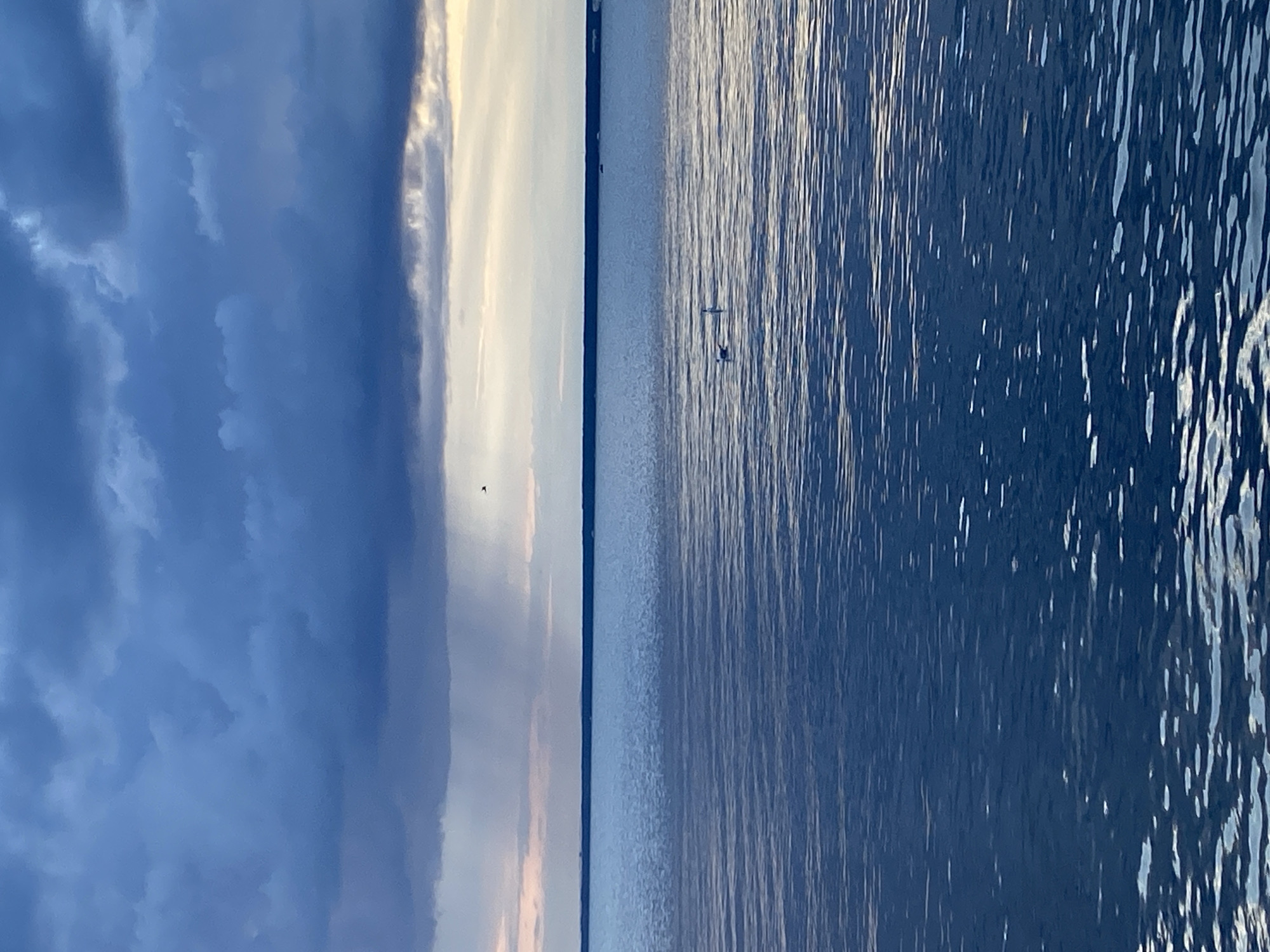An overcast sky with dark, heavy clouds dominates the upper half of the image. A band of lighter clouds runs across the horizon, with a faint suggestion of pinkish hues. Light streaks, possibly rain or sunbeams breaking through, are visible in the distance. A small, dark bird is in flight against the clouds. The lower half of the image shows a calm, deep blue body of water, likely a bay or gulf, with gentle ripples. Two white birds, possibly swans, are swimming on the water's surface. The horizon line is sharp and dark, separating the sky from the water. In the far distance, a faint line of land is visible, possibly the coast of Sestroretsk, Russia.